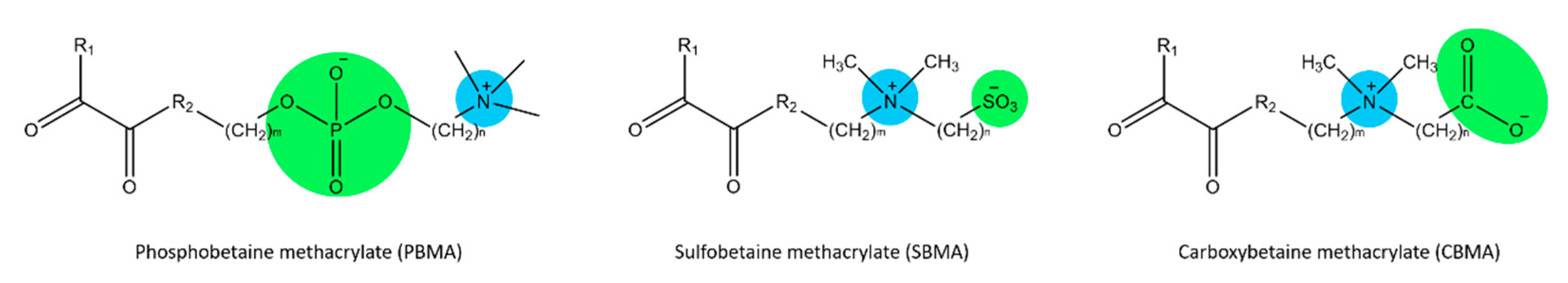 Polymers 13 00583 g001 Polymers 13 00583 g001
