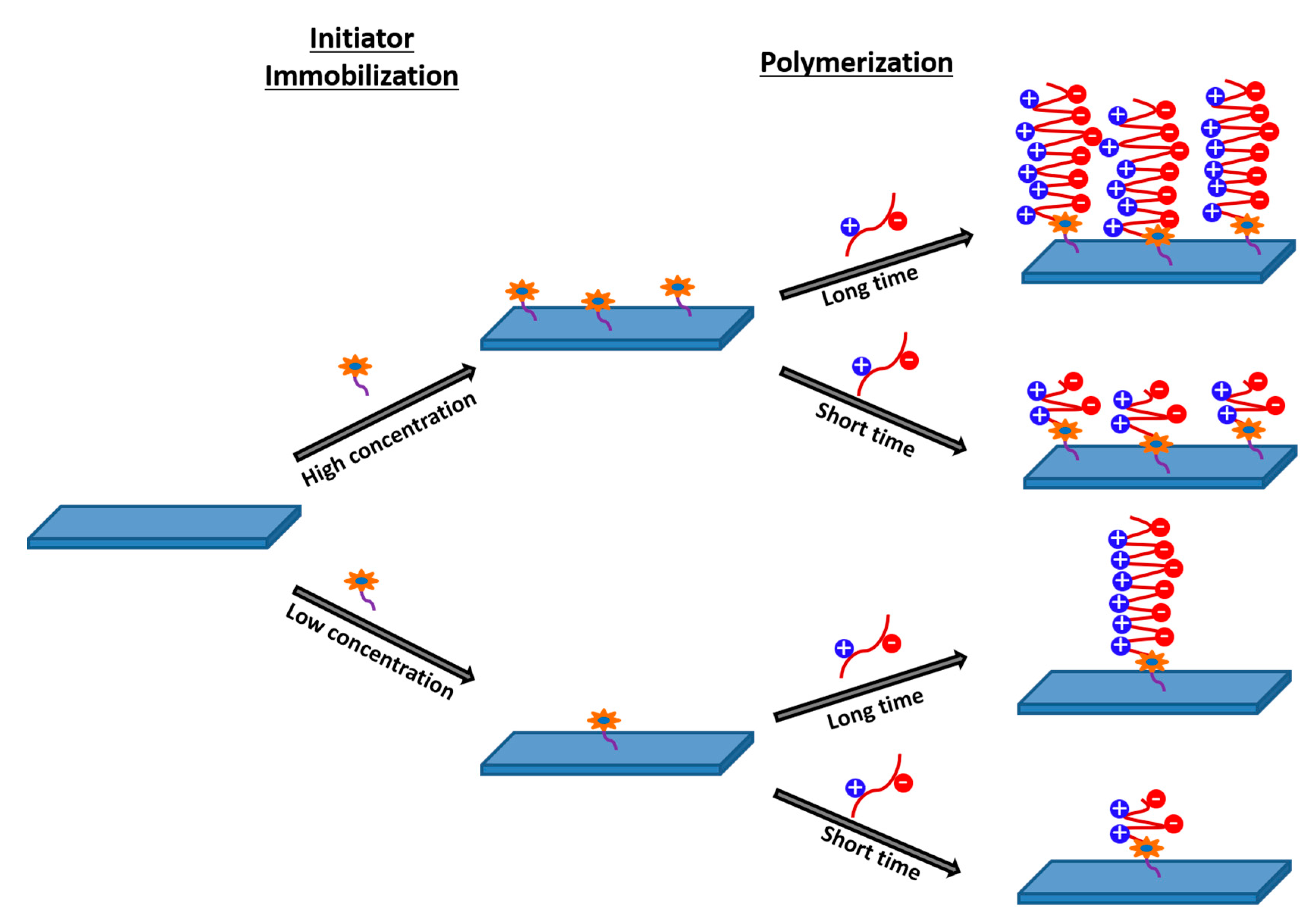 Polymers 13 00583 g006 Polymers 13 00583 g006