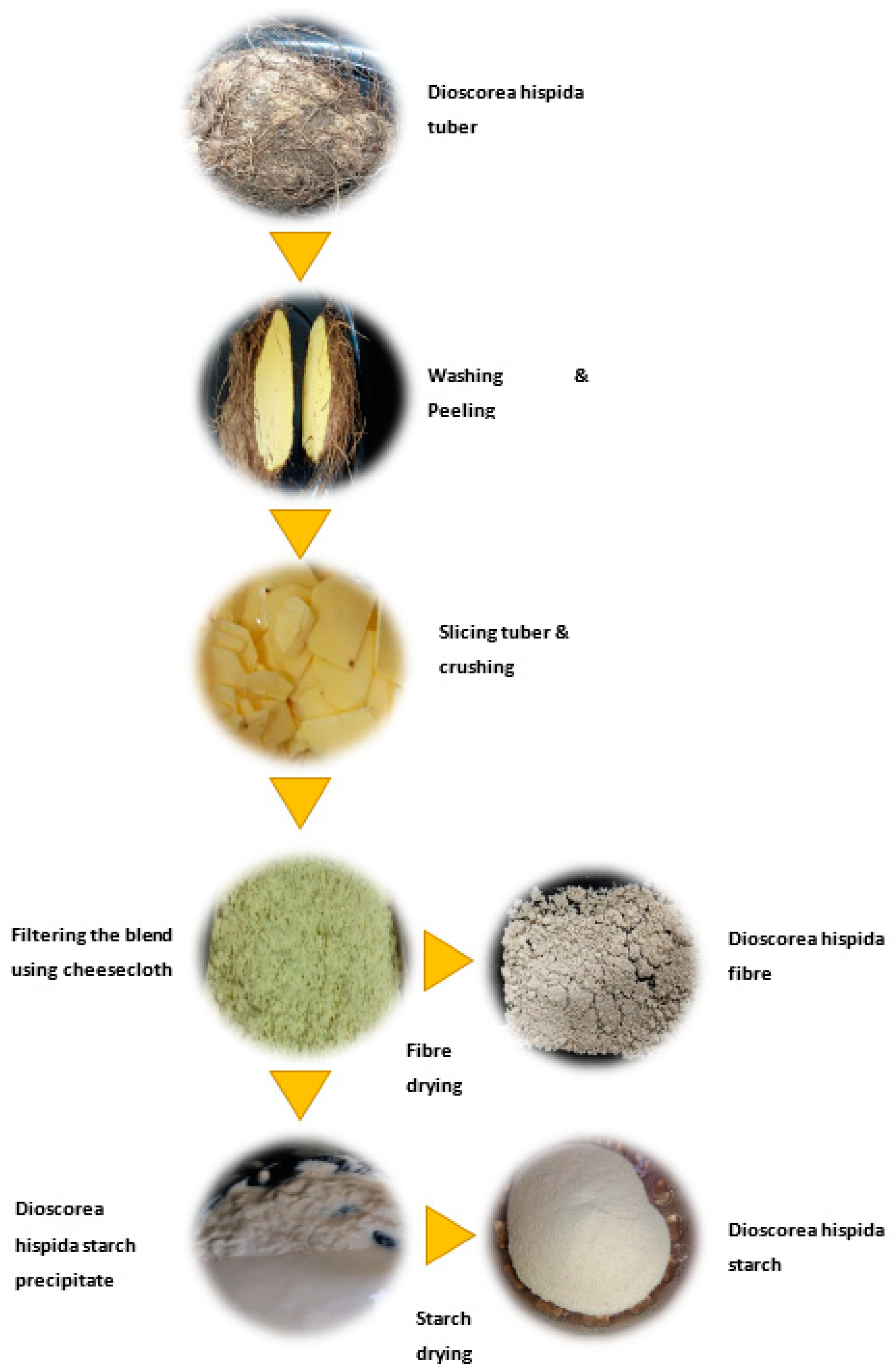 Polymers 13 00584 g001