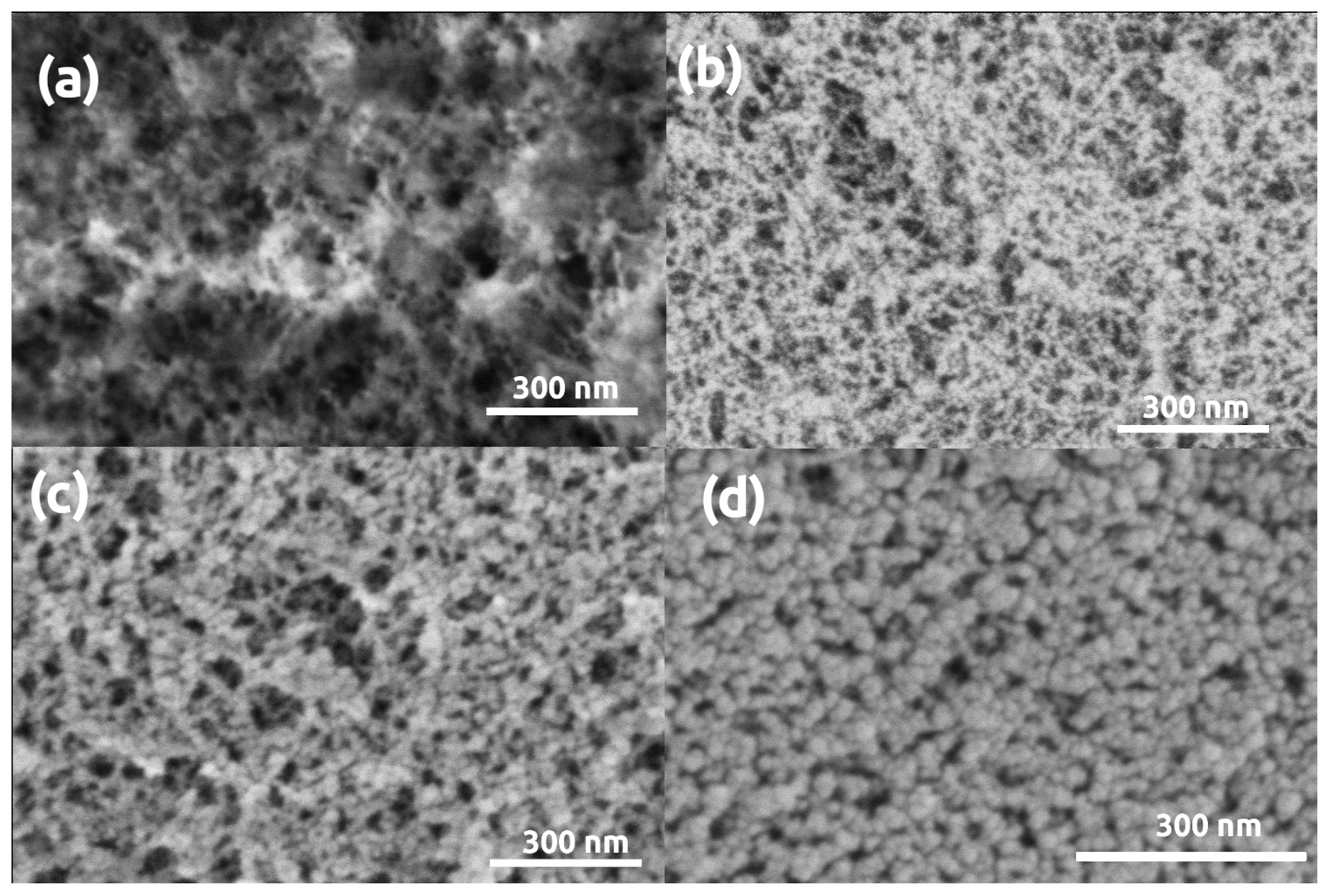 Polymers 13 00588 g002