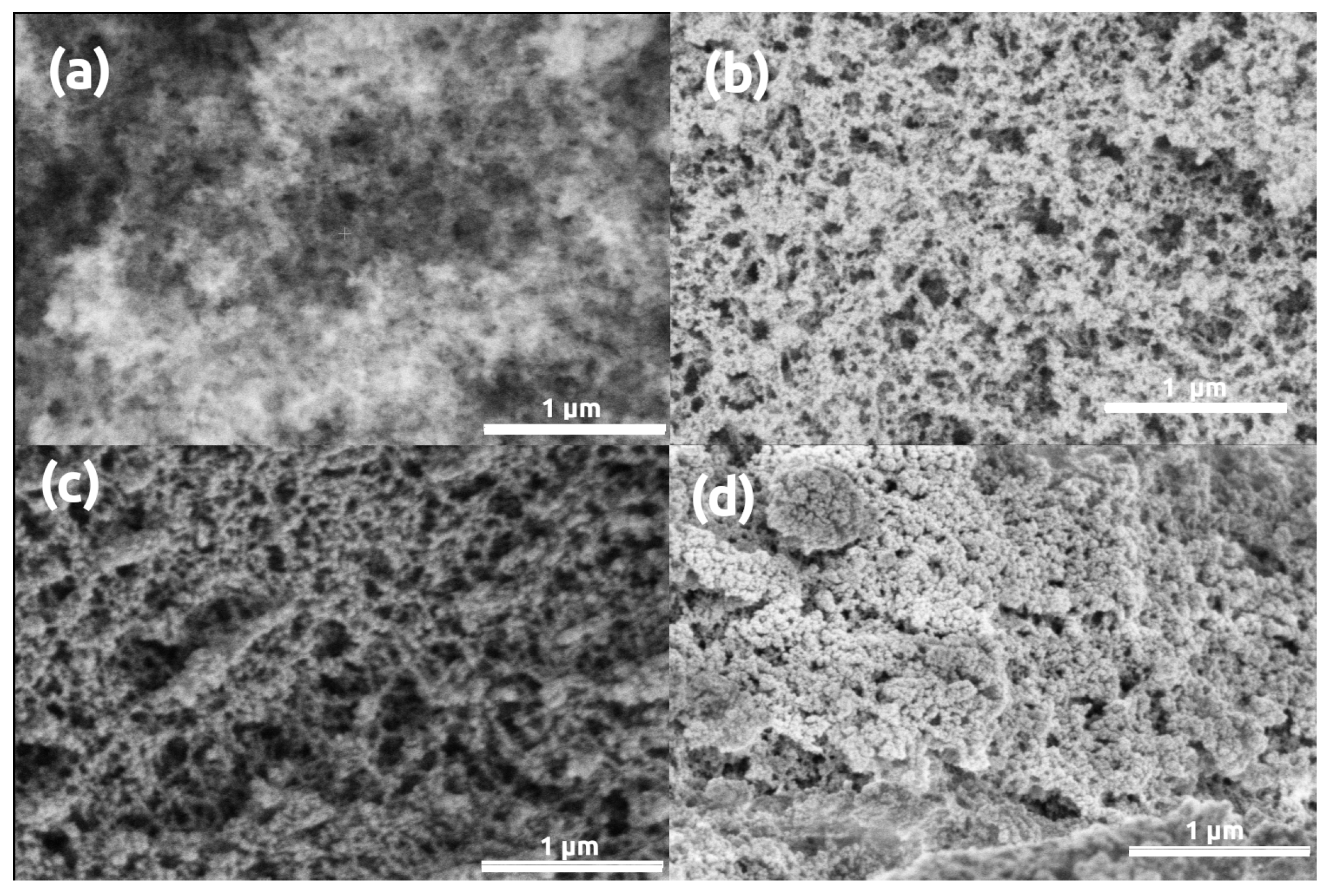 Polymers 13 00588 g003