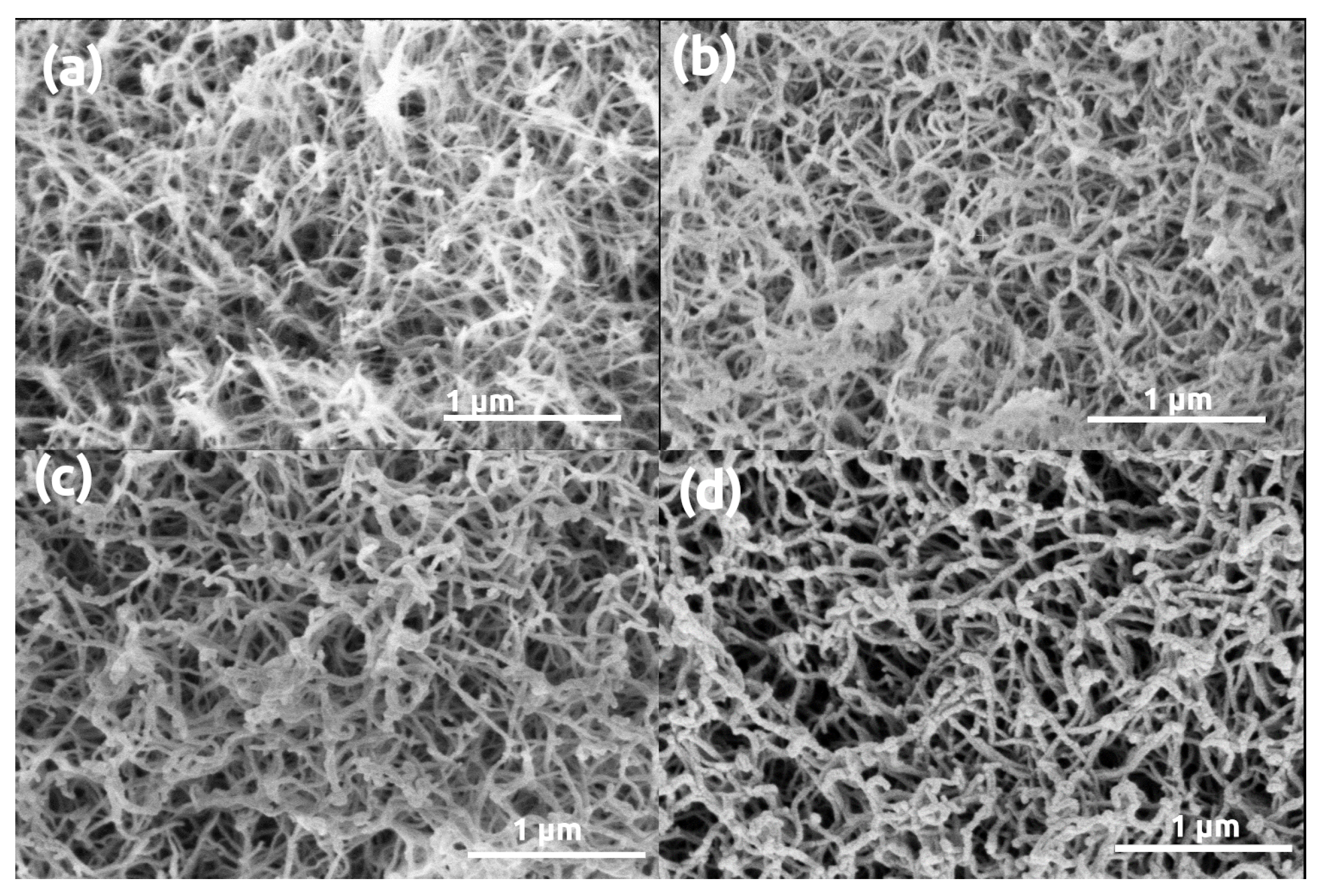 Polymers 13 00588 g005