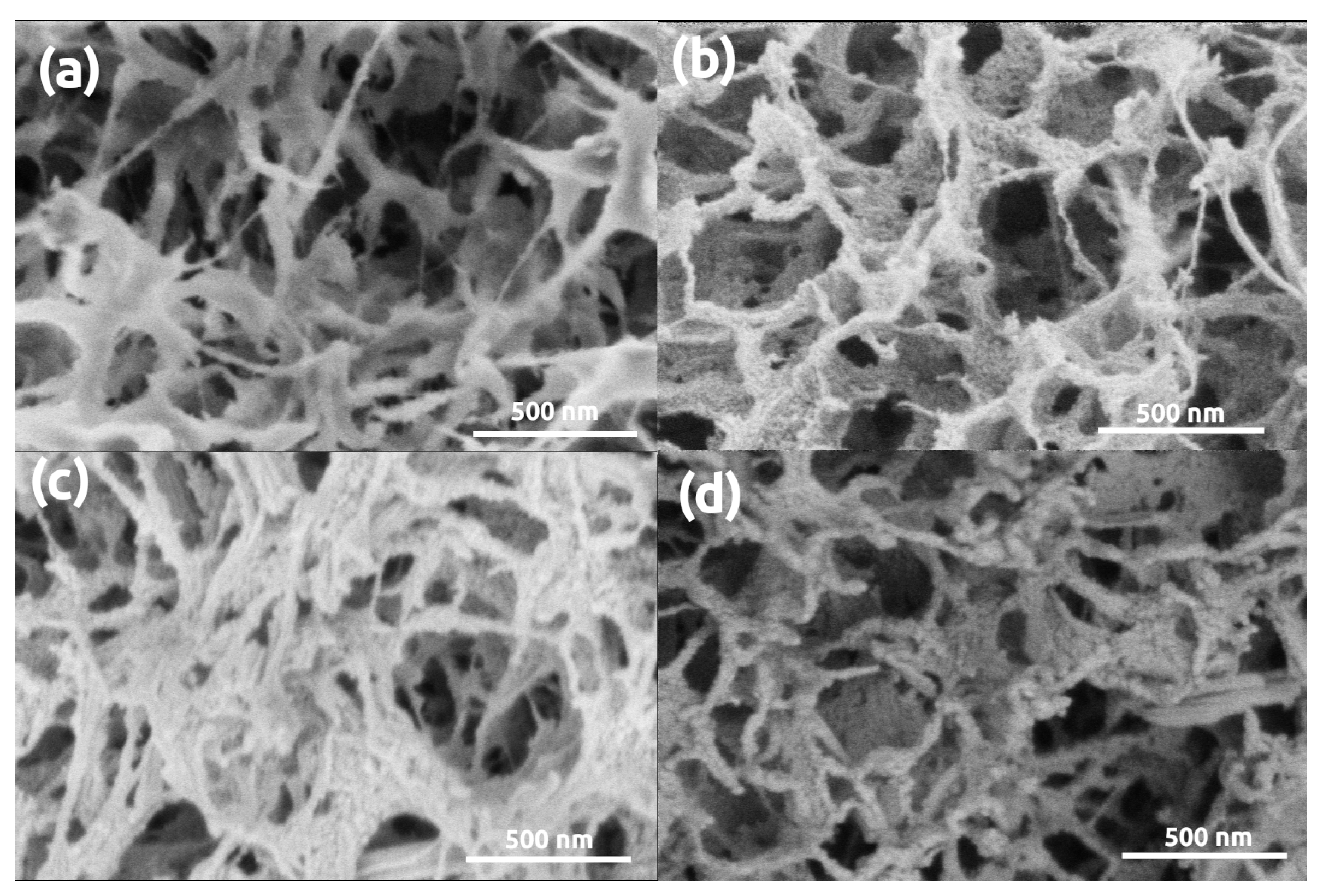 Polymers 13 00588 g006
