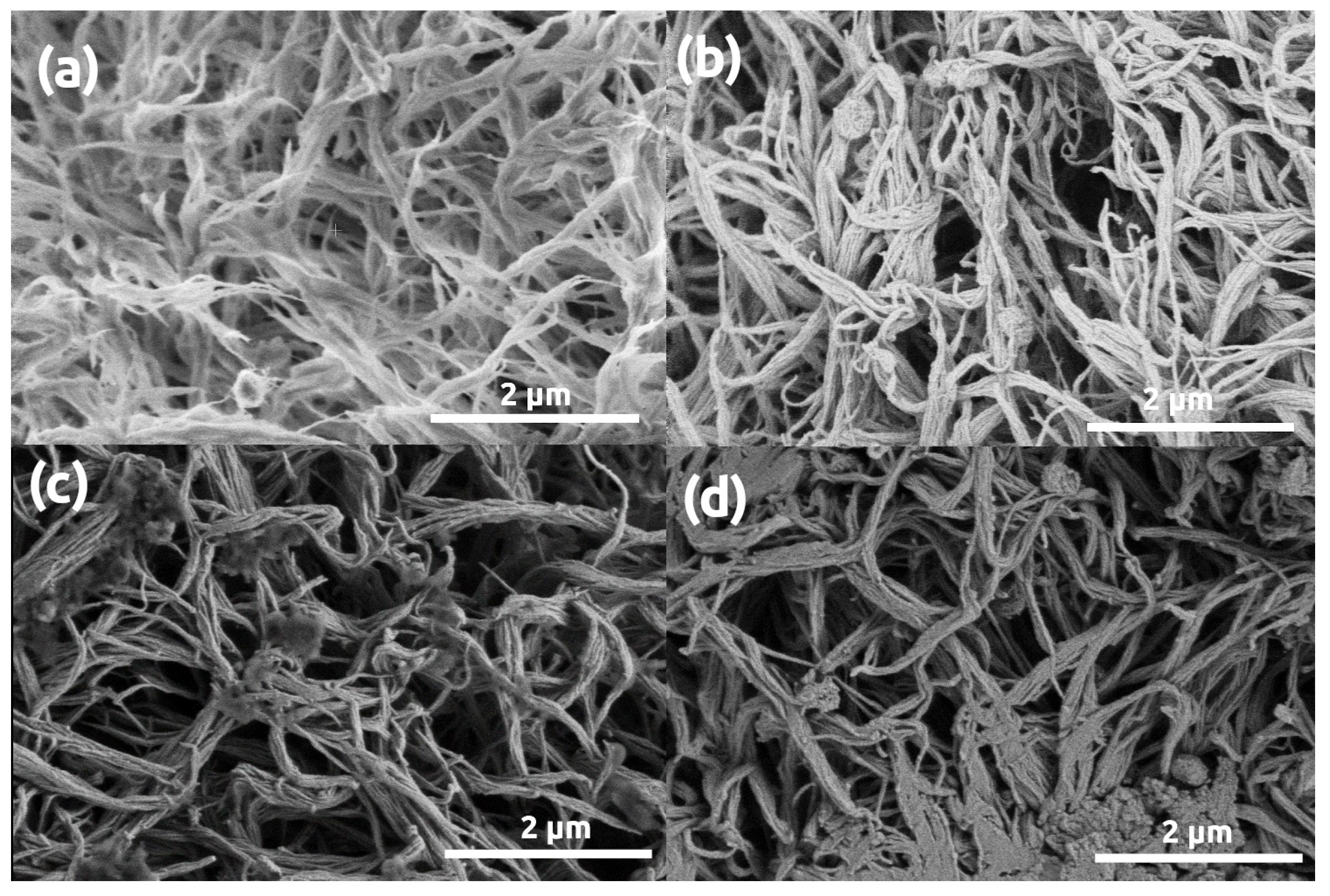 Polymers 13 00588 g007
