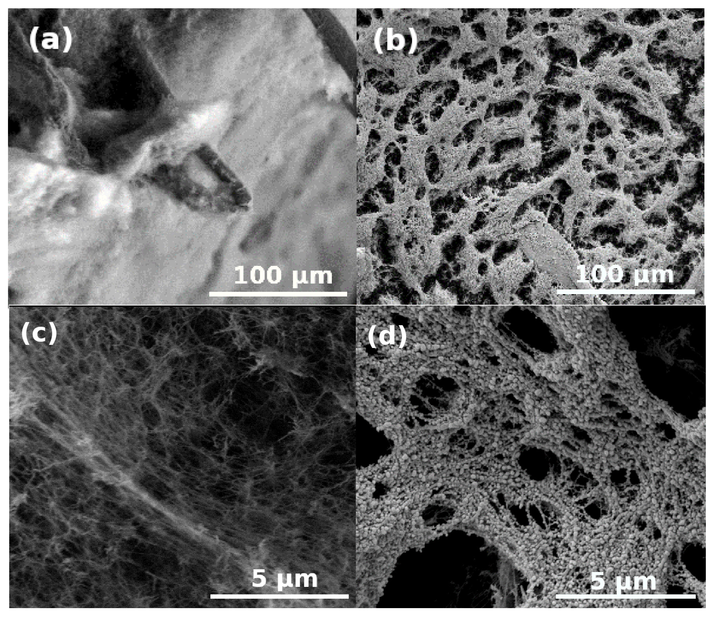 Polymers 13 00588 g008