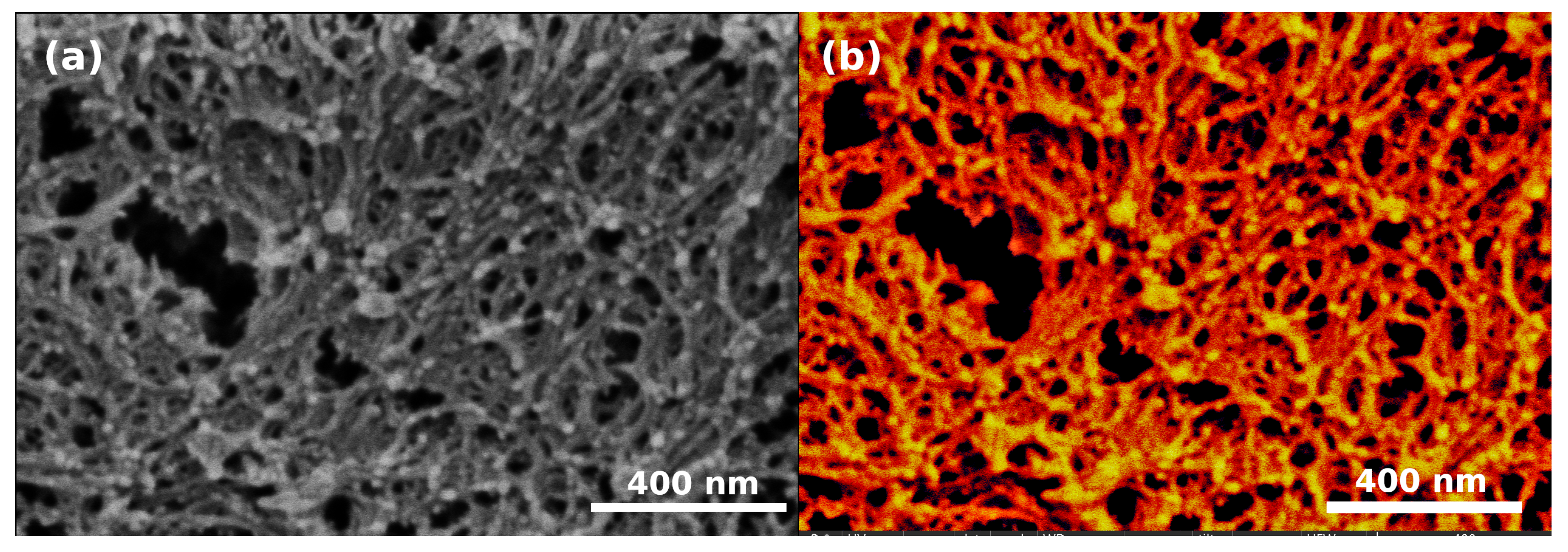 Polymers 13 00588 g009