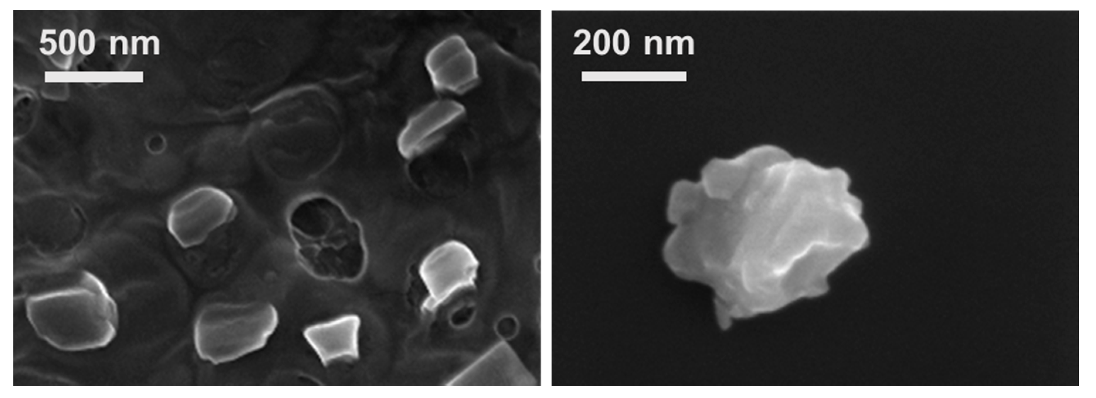 Polymers 13 00589 g005