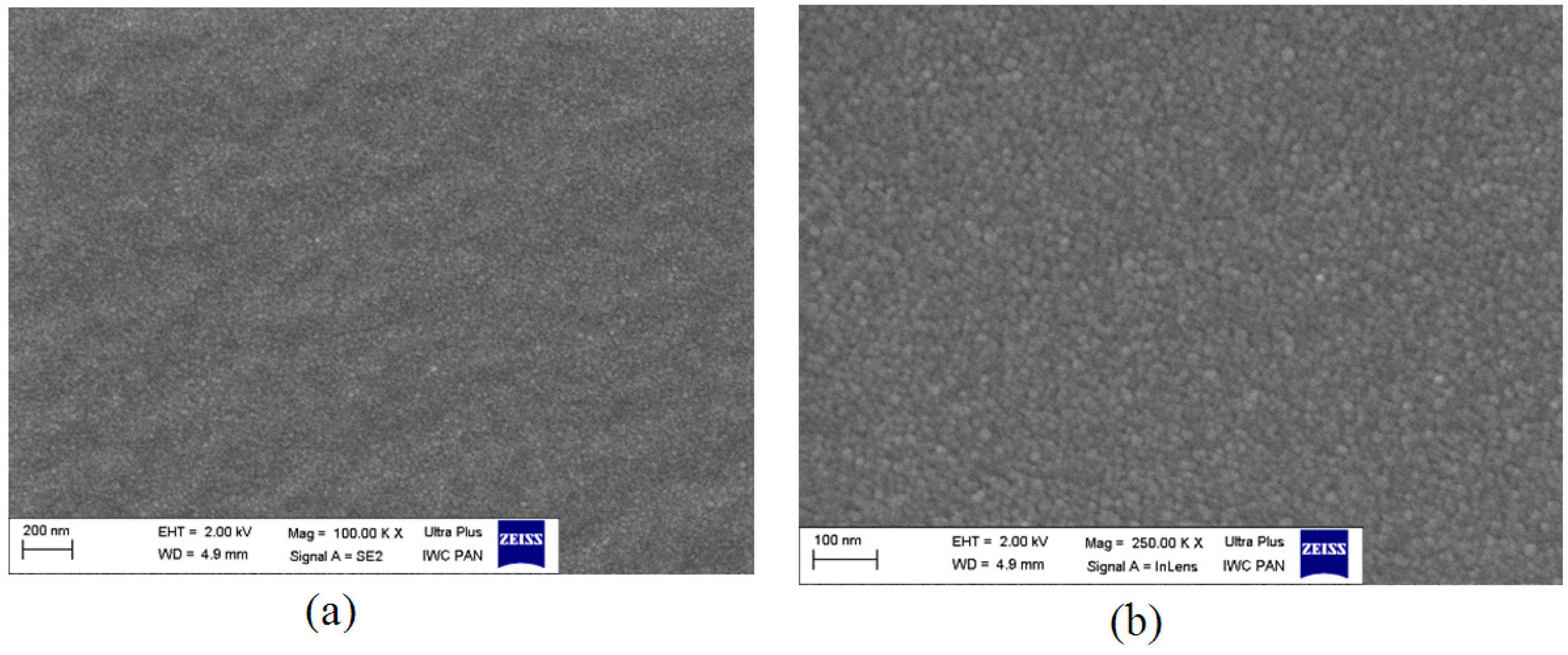 Polymers 13 00592 g007