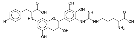 Polymers 13 00595 i010