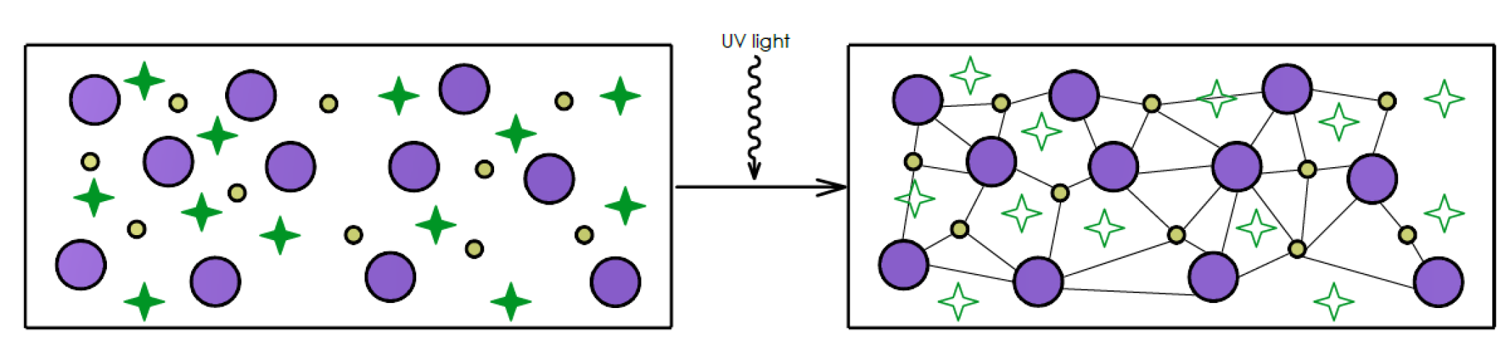 Polymers 13 00598 g003