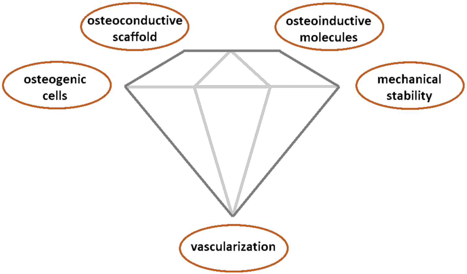 Polymers 13 00599 g001