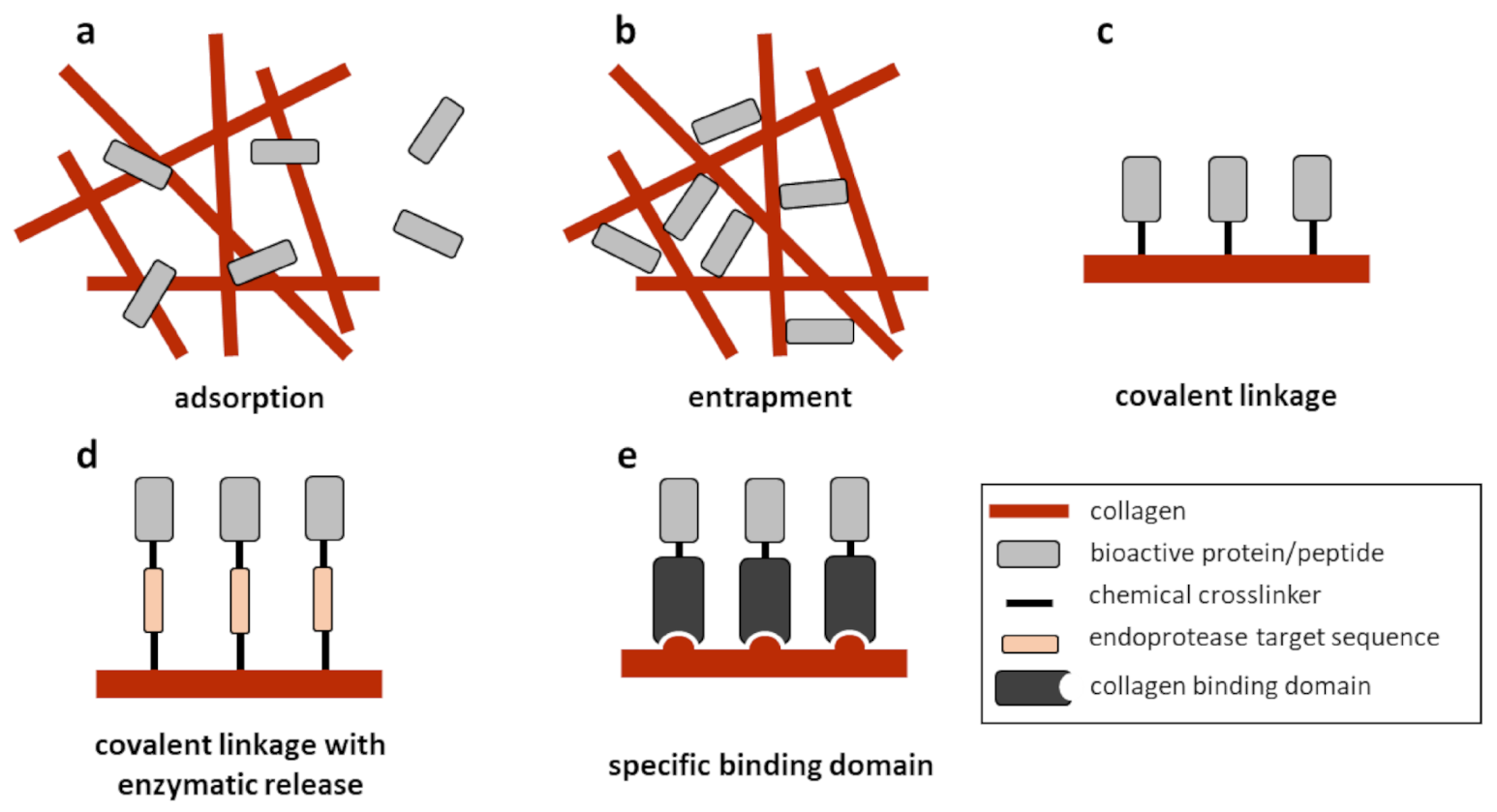 Polymers 13 00599 g004