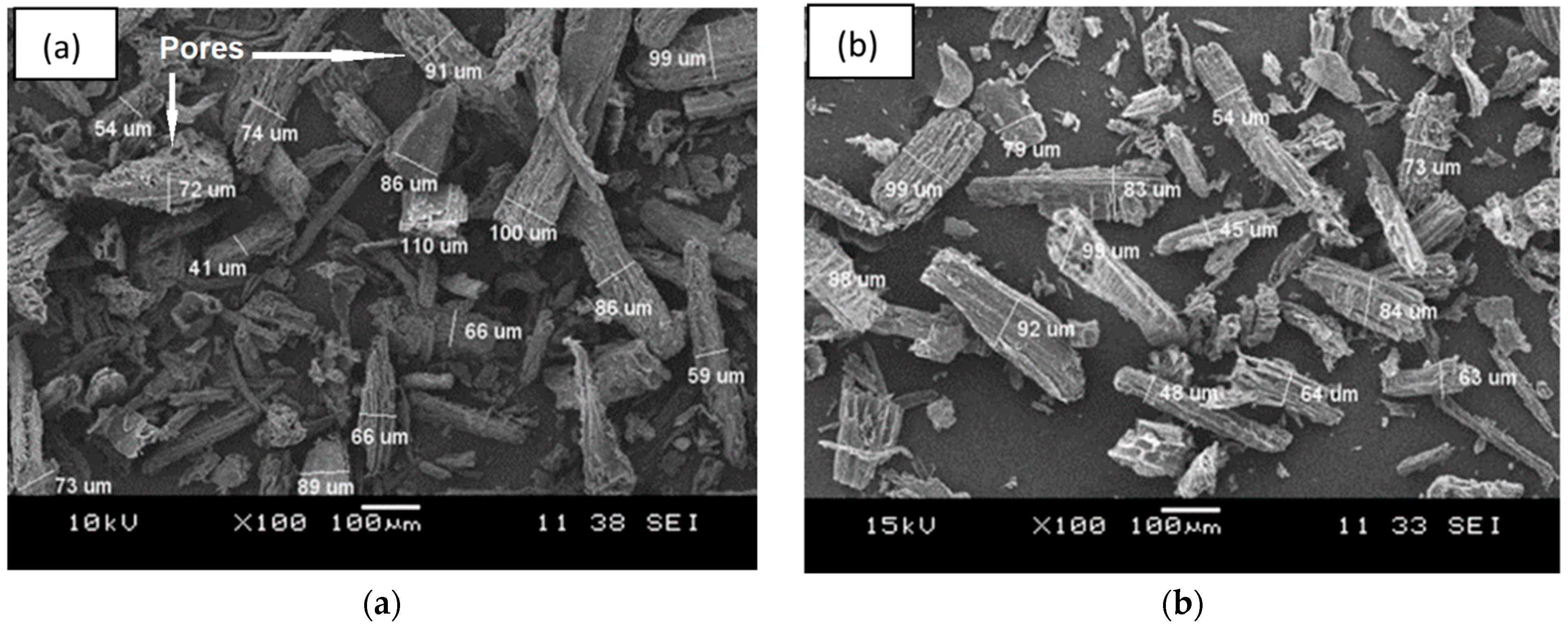 Polymers 13 00600 g001 Polymers 13 00600 g001
