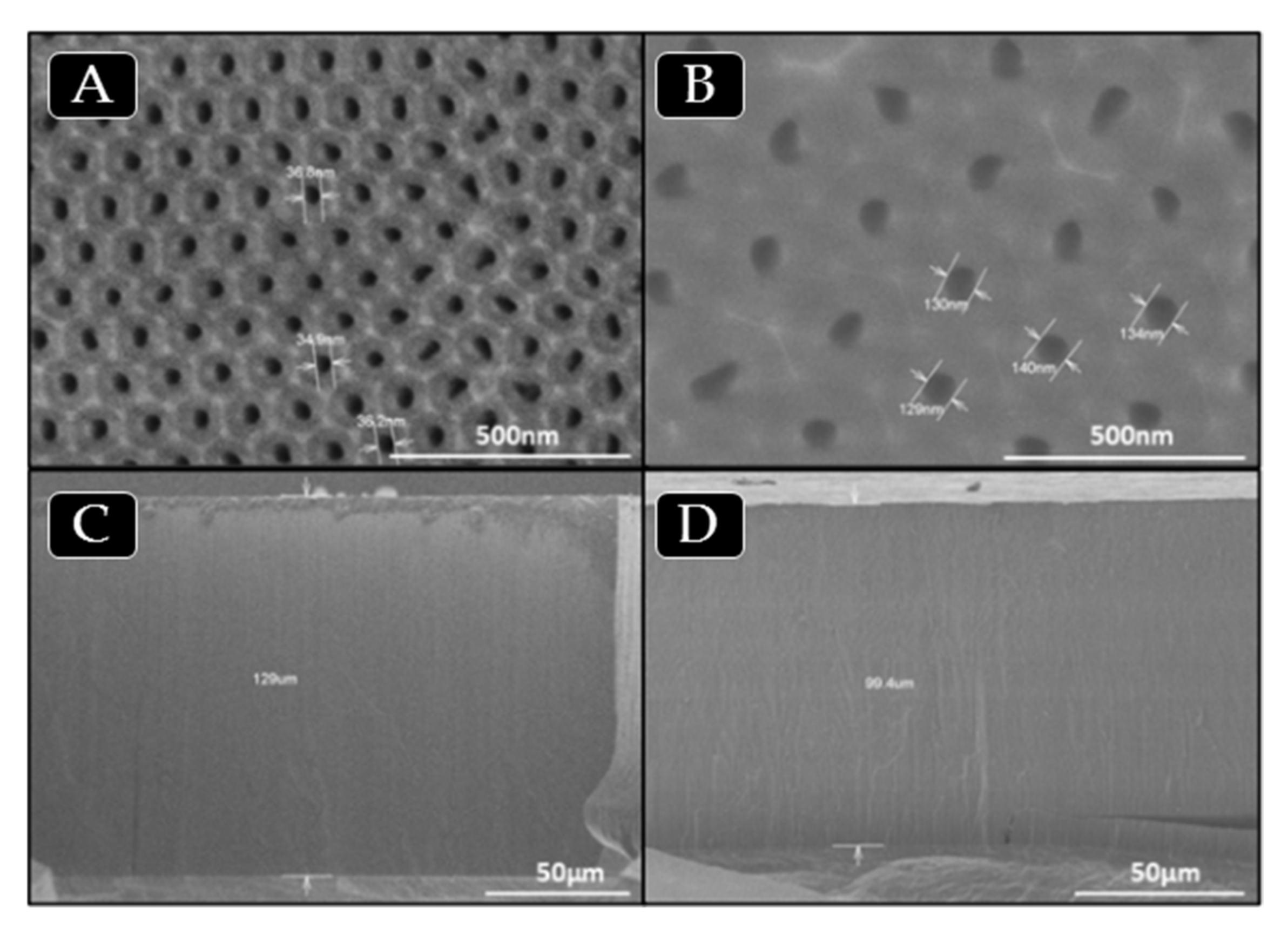 Polymers 13 00602 g001