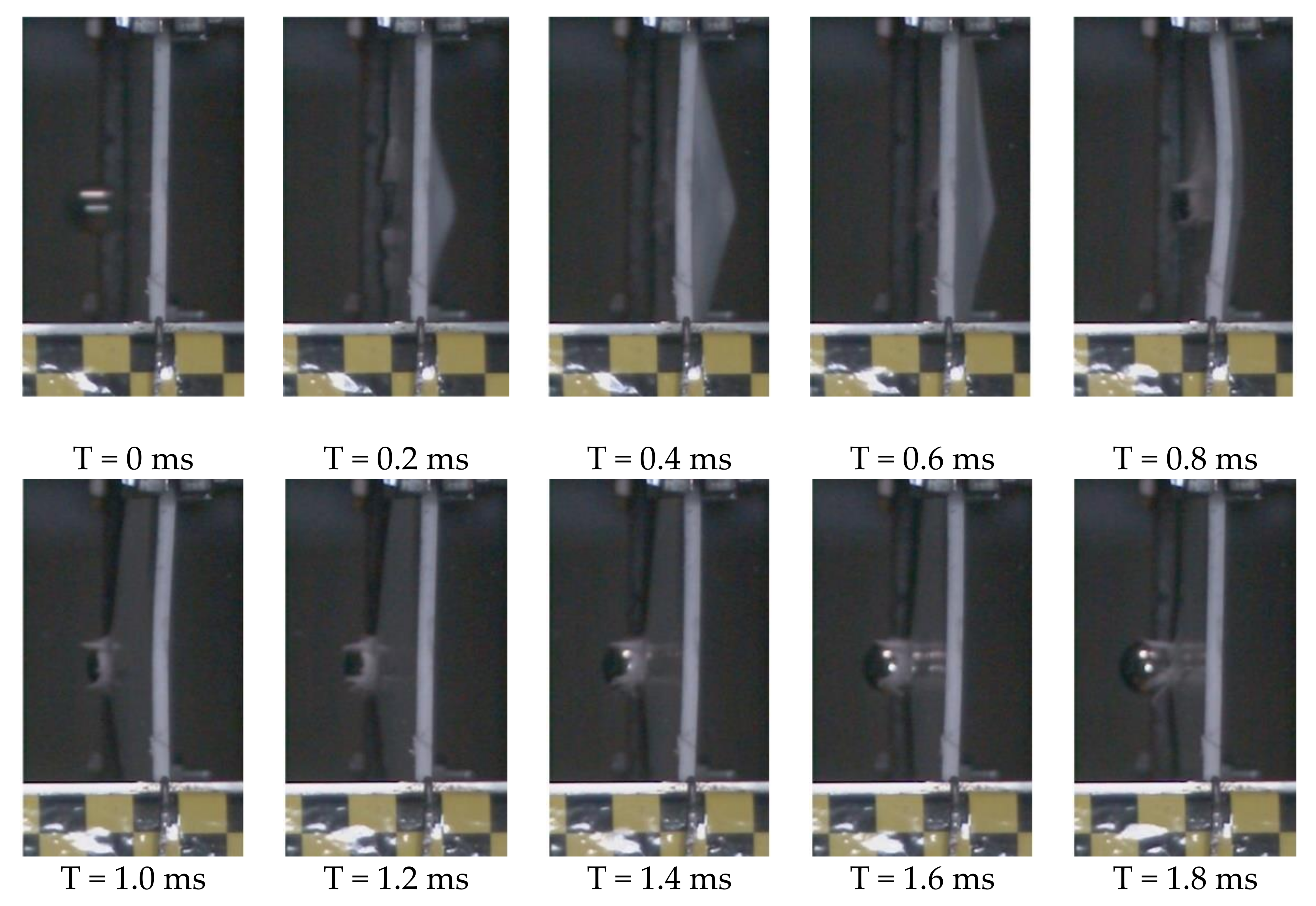 Polymers 13 00604 g005