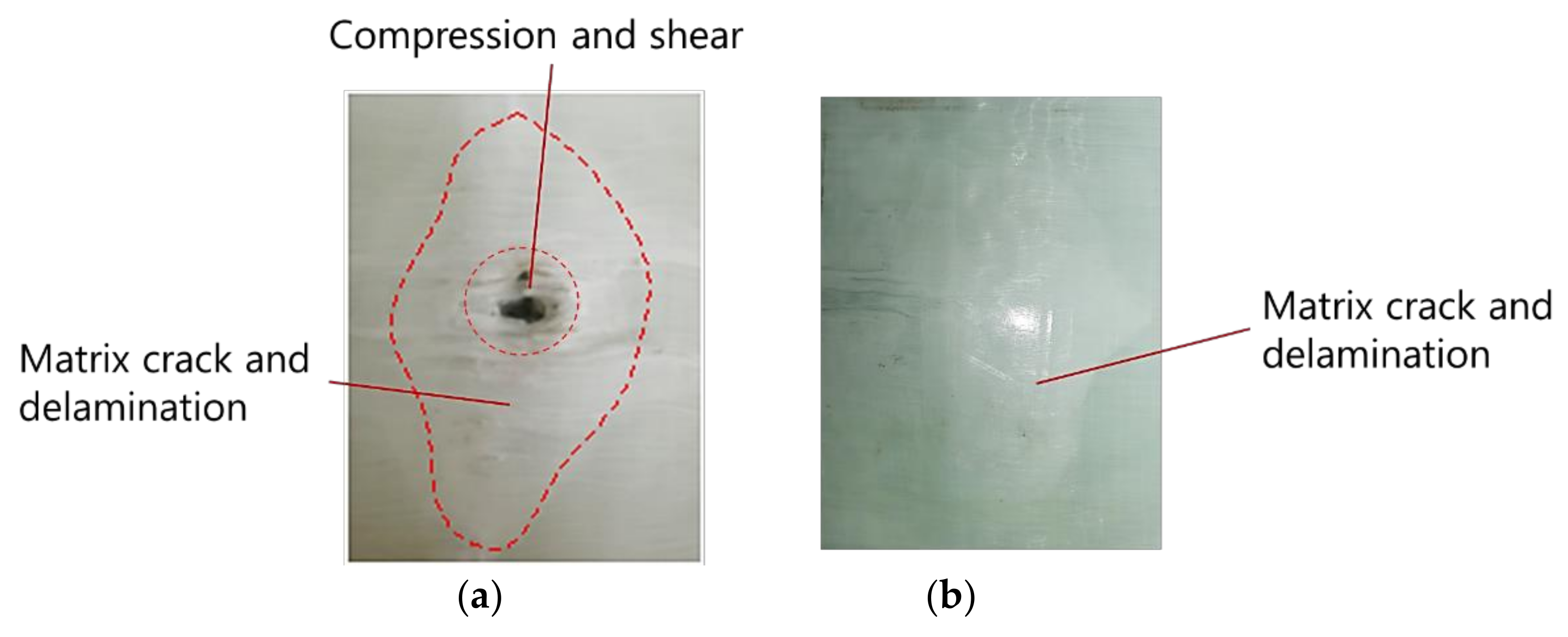 Polymers 13 00604 g007