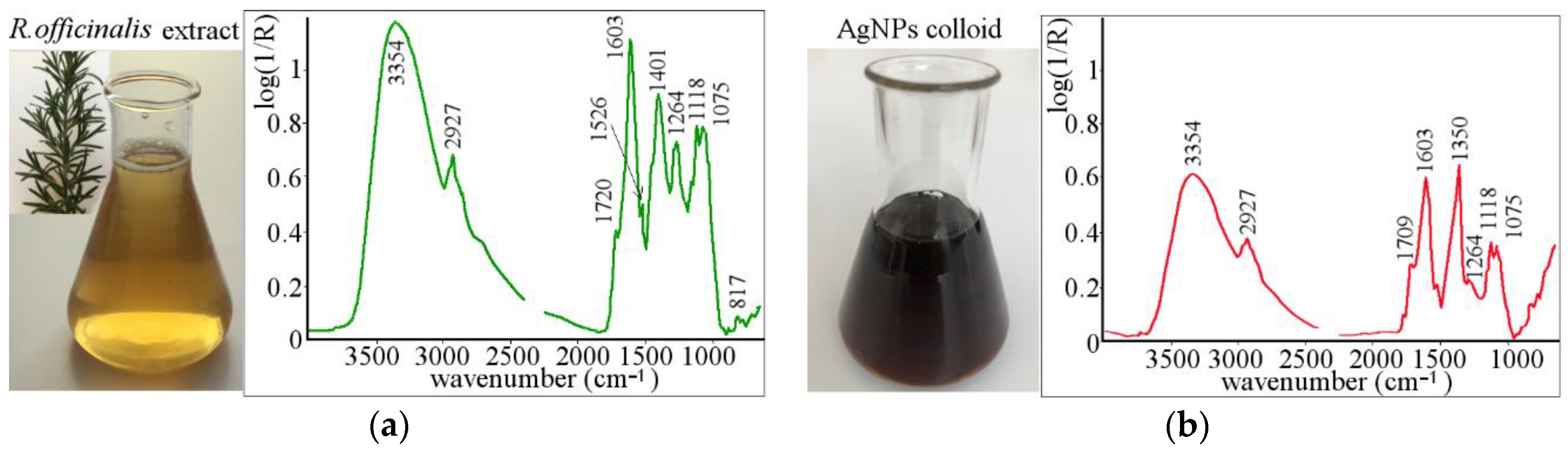 Polymers 13 00605 g001