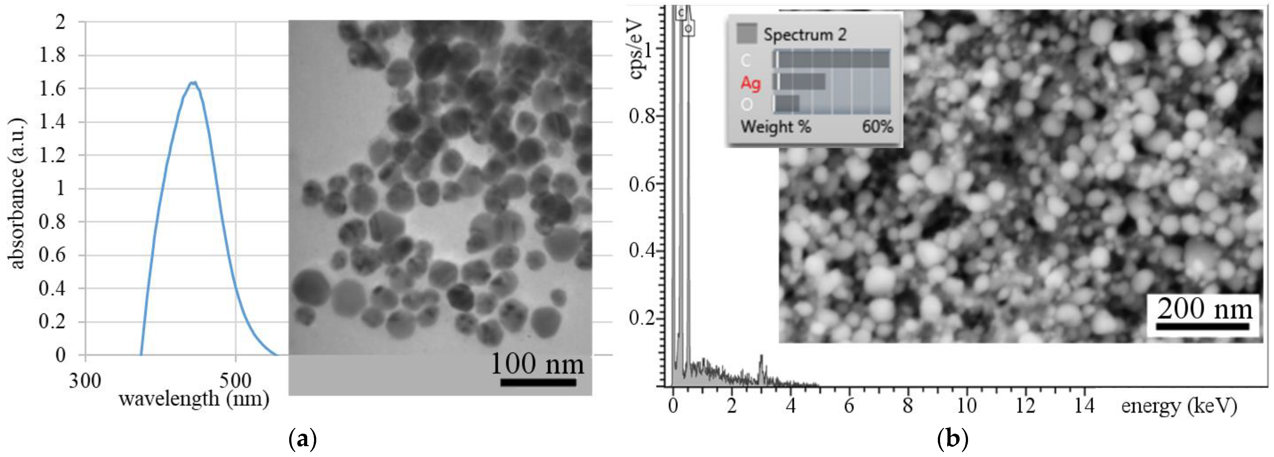 Polymers 13 00605 g002