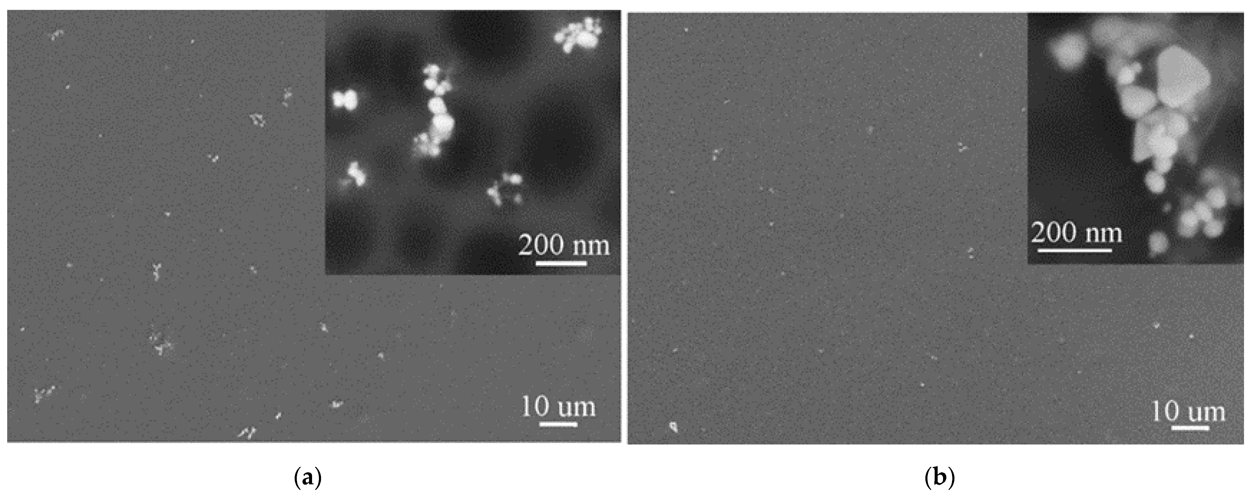Polymers 13 00605 g003
