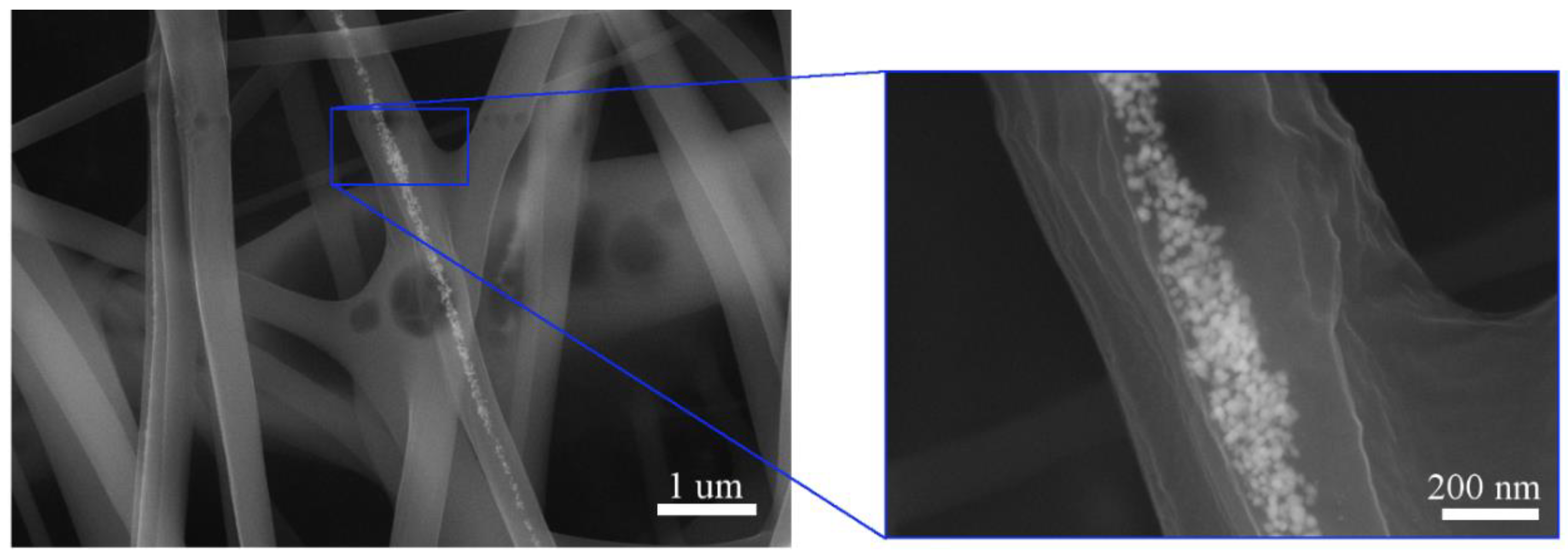 Polymers 13 00605 g004