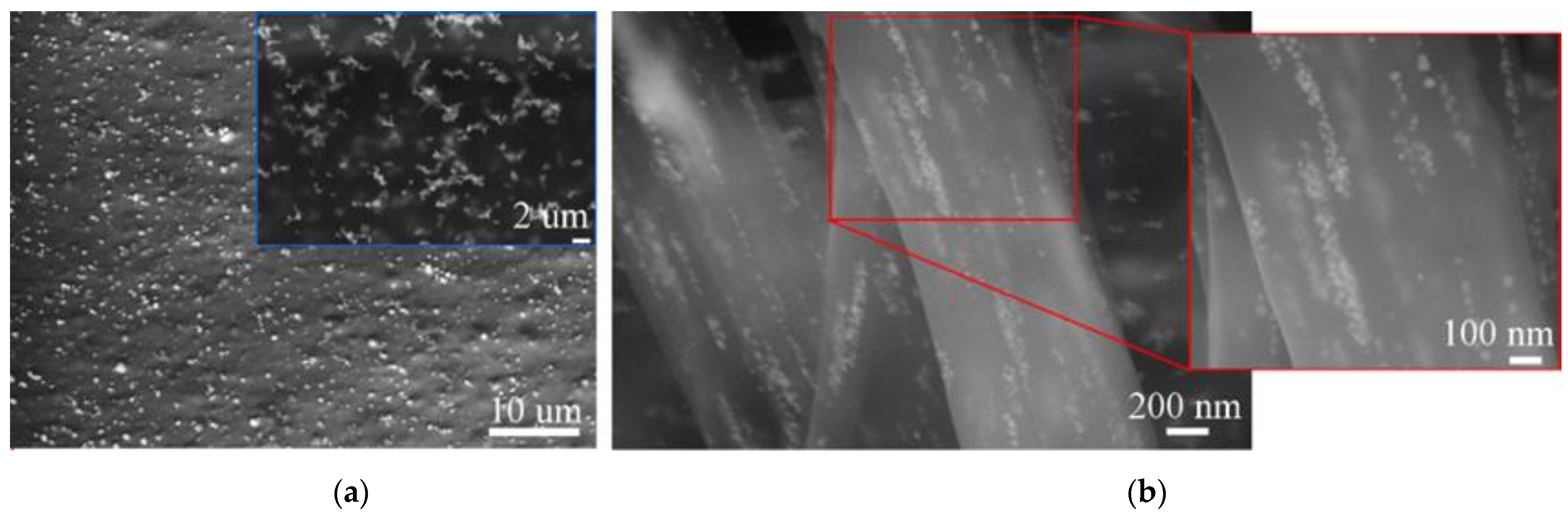 Polymers 13 00605 g006