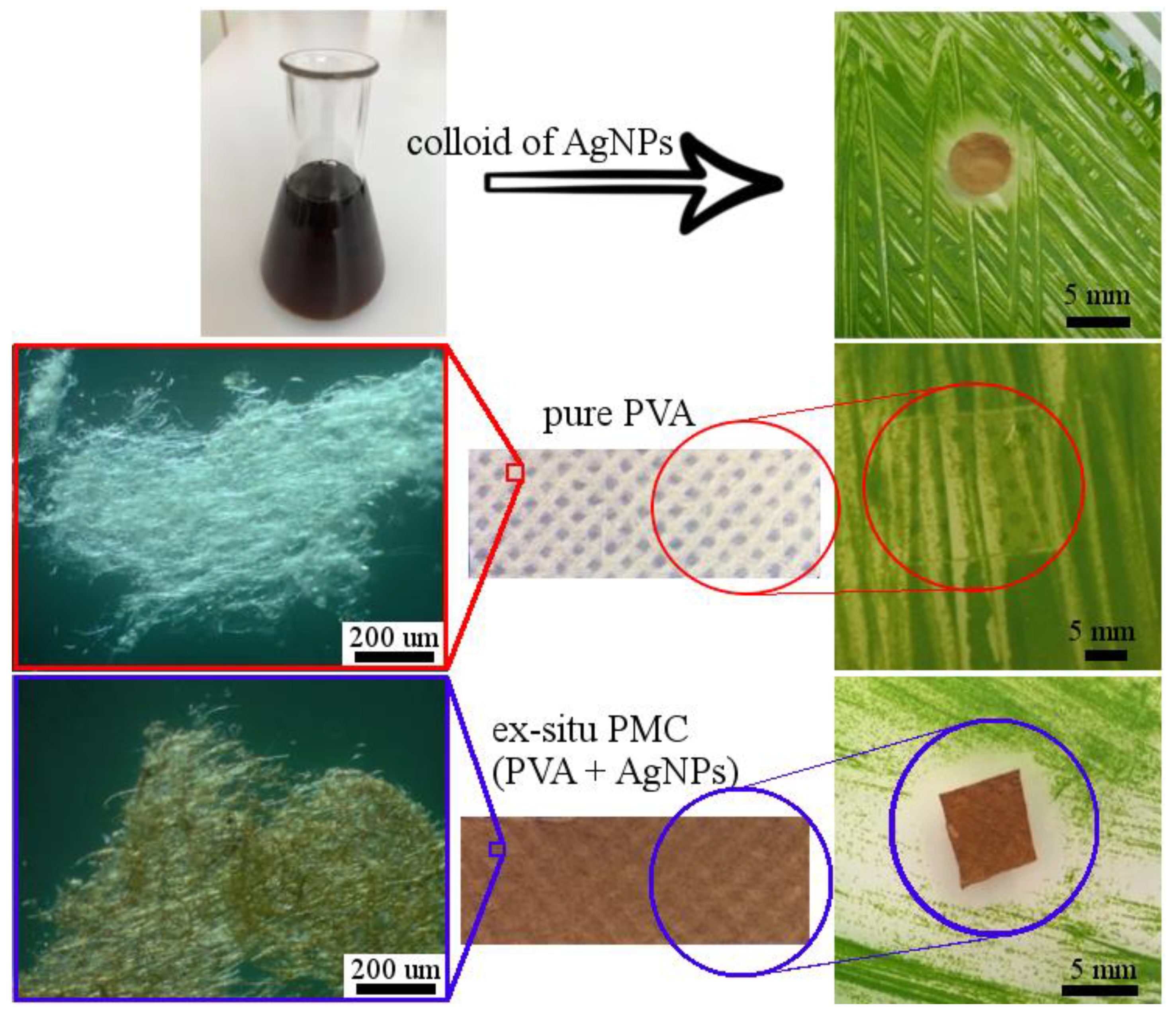 Polymers 13 00605 g007