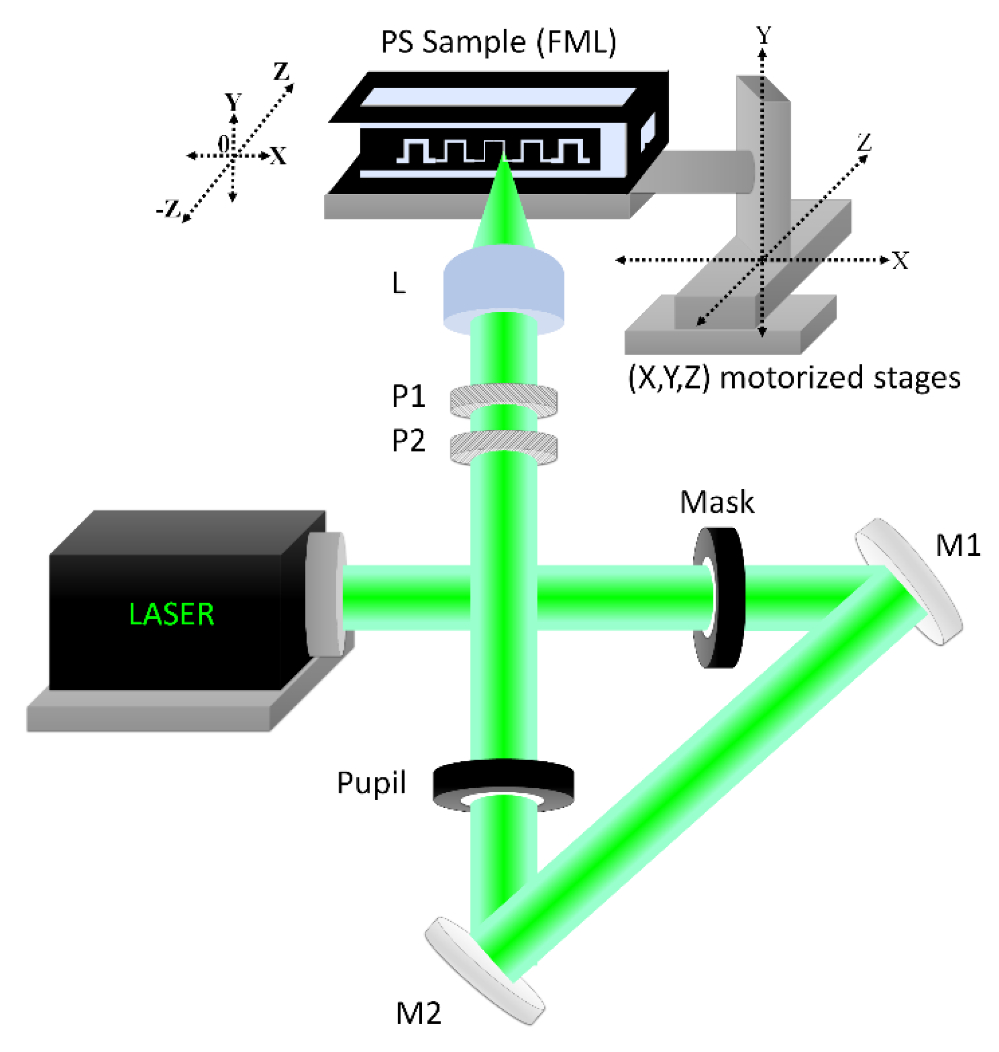Polymers 13 00607 g002
