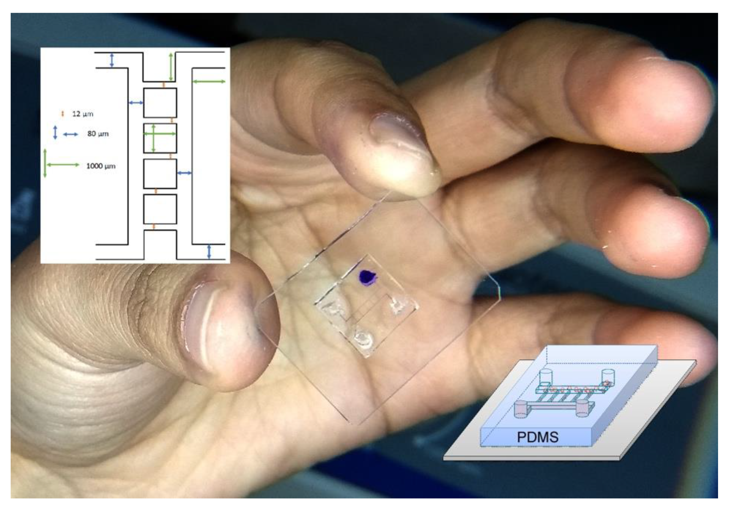 Polymers 13 00607 g008