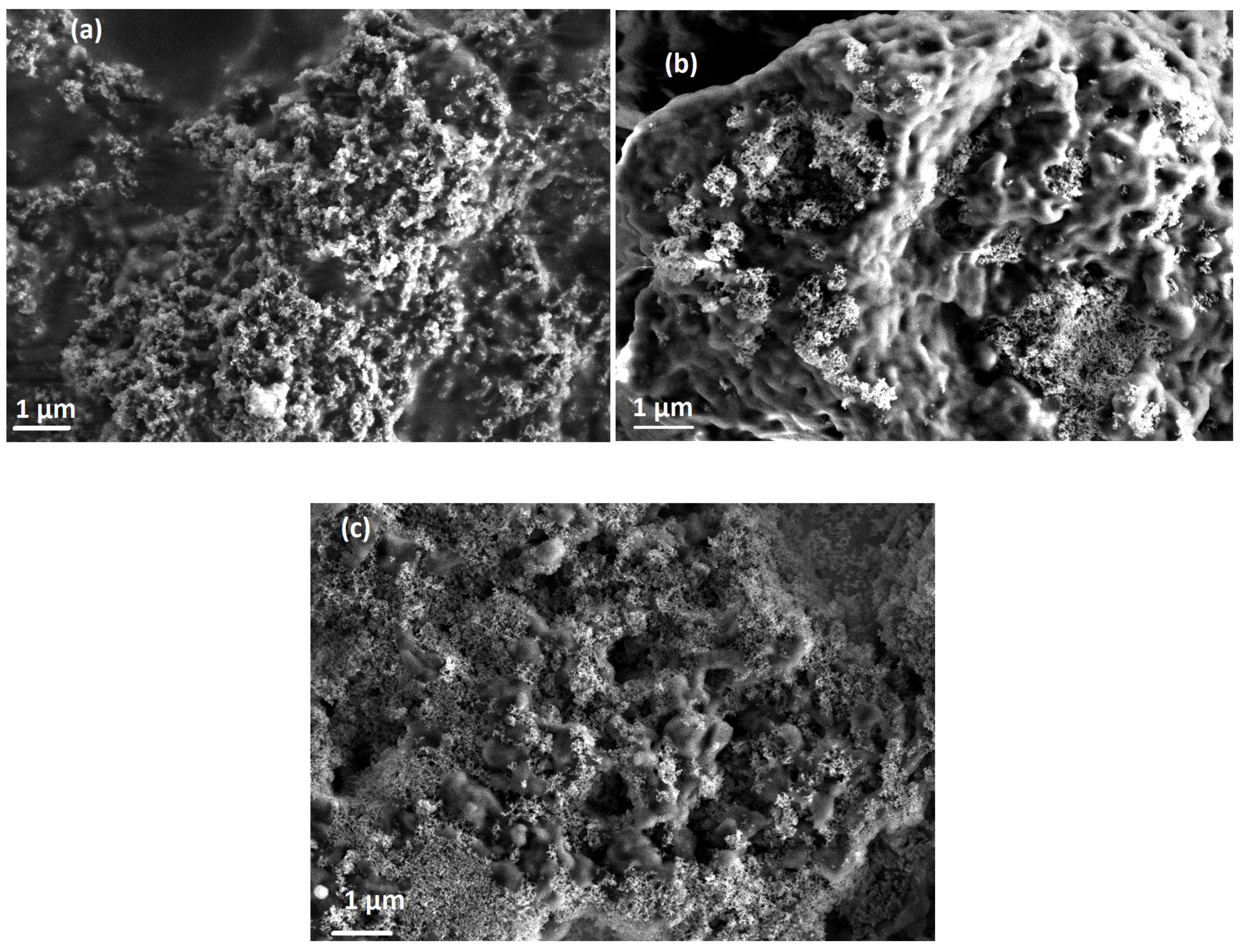 Polymers 13 00611 g004 Polymers 13 00611 g004