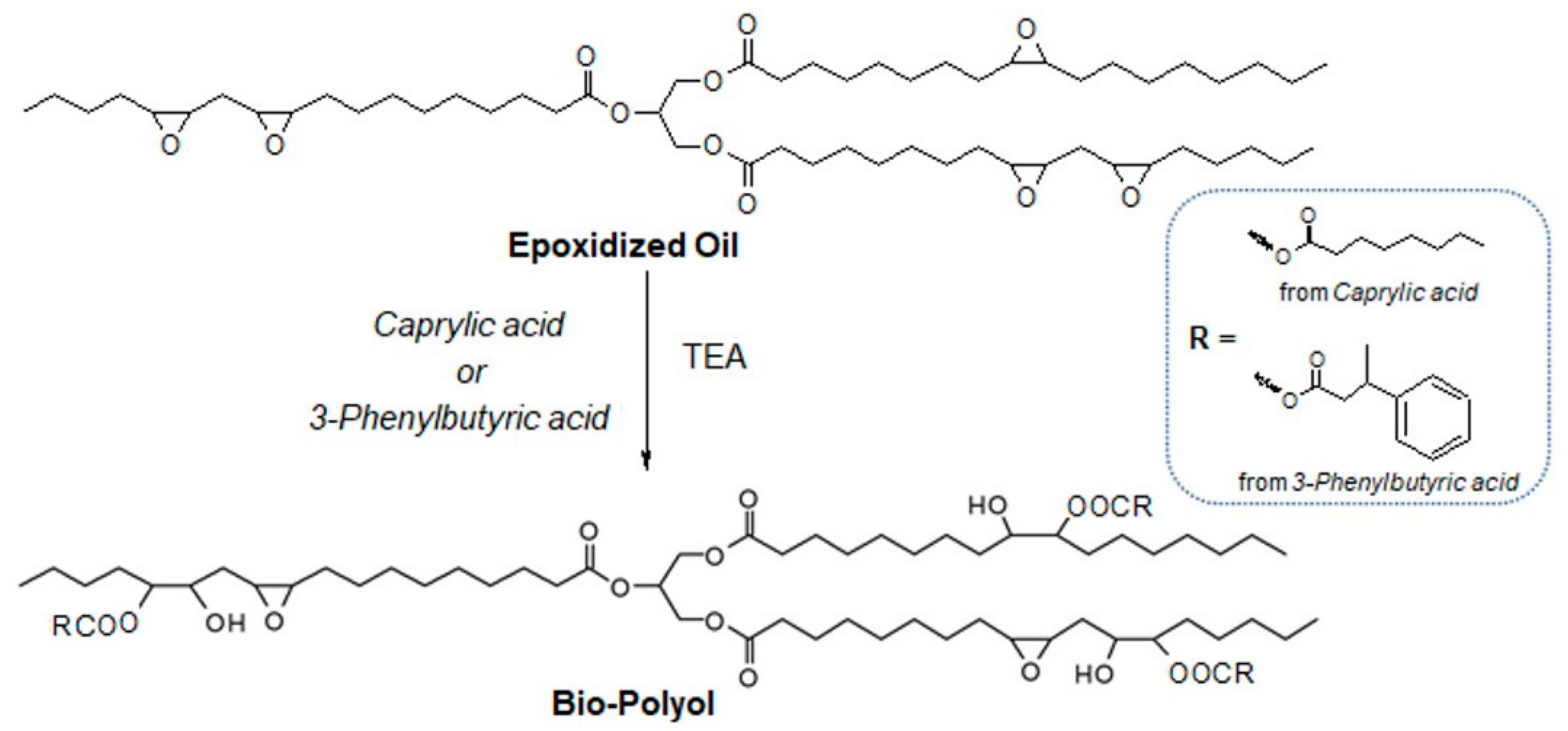Polymers 13 00612 sch001 Polymers 13 00612 sch001