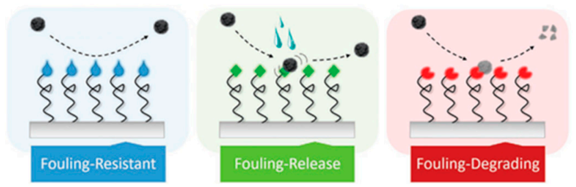 Polymers 13 00613 g002