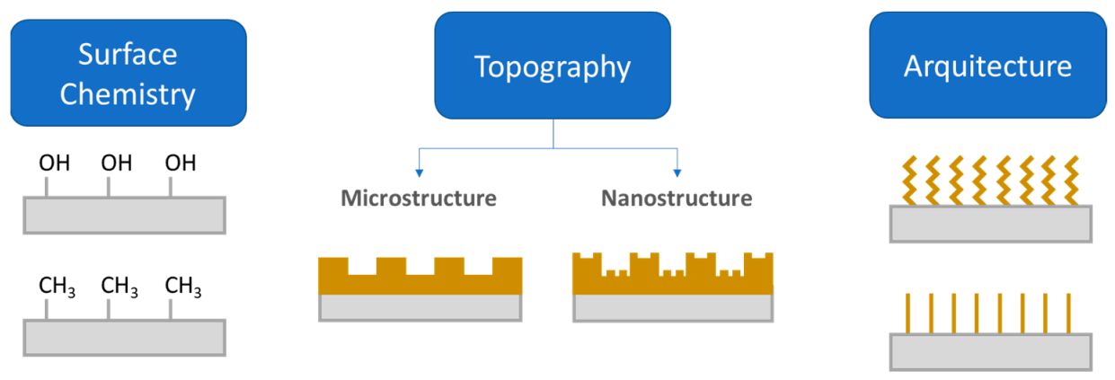 Polymers 13 00613 g004