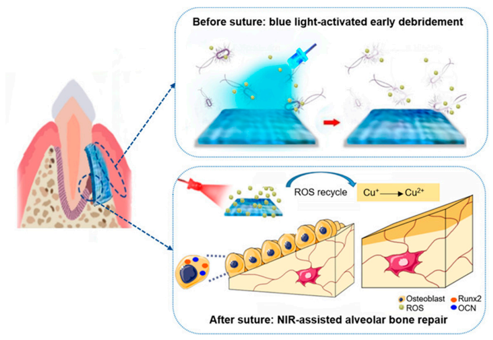 Polymers 13 00613 g005