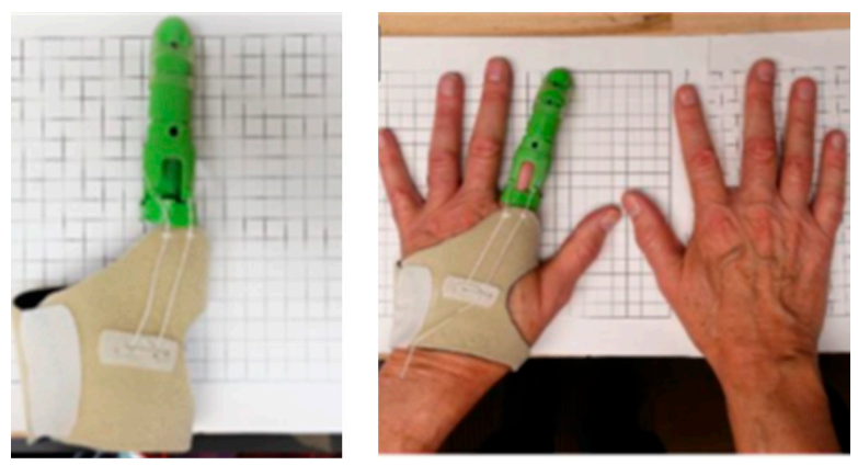 Polymers 13 00613 g006