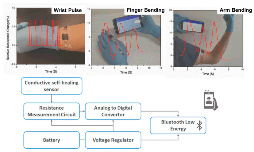 Polymers 13 00613 g008