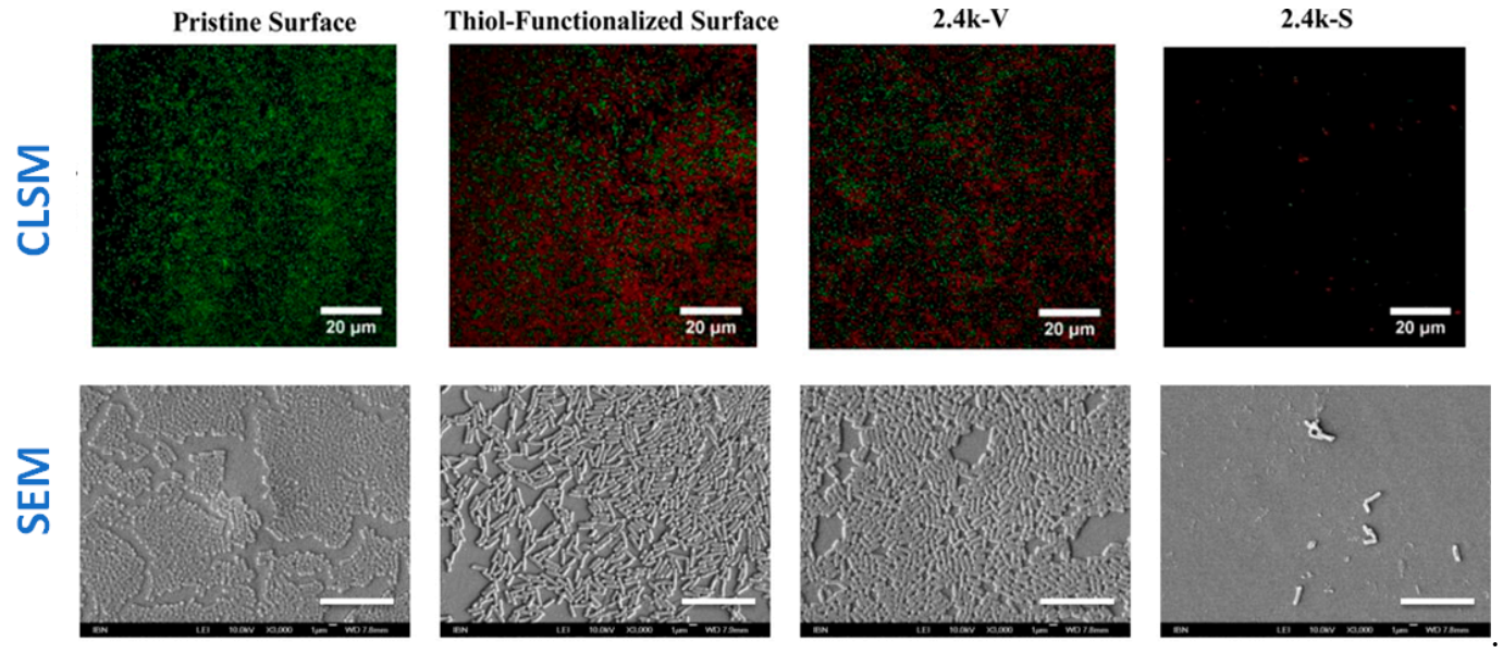 Polymers 13 00613 g013