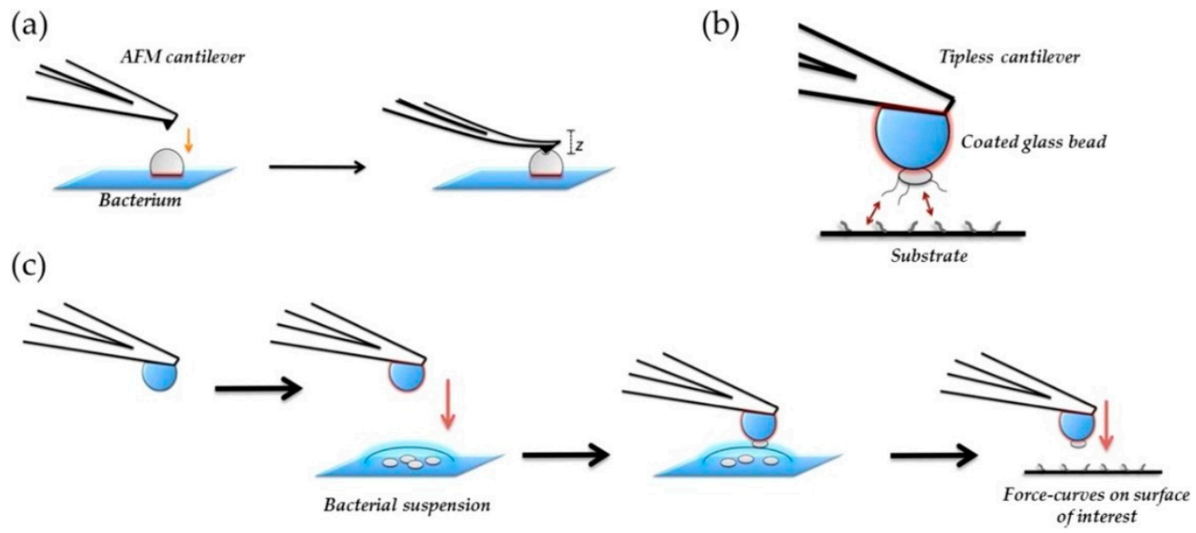 Polymers 13 00613 g014