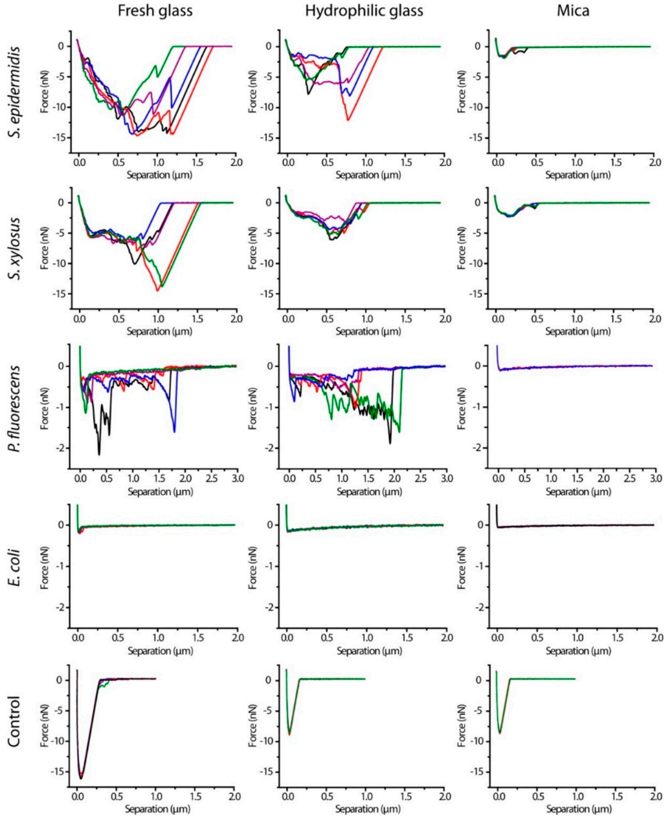 Polymers 13 00613 g015