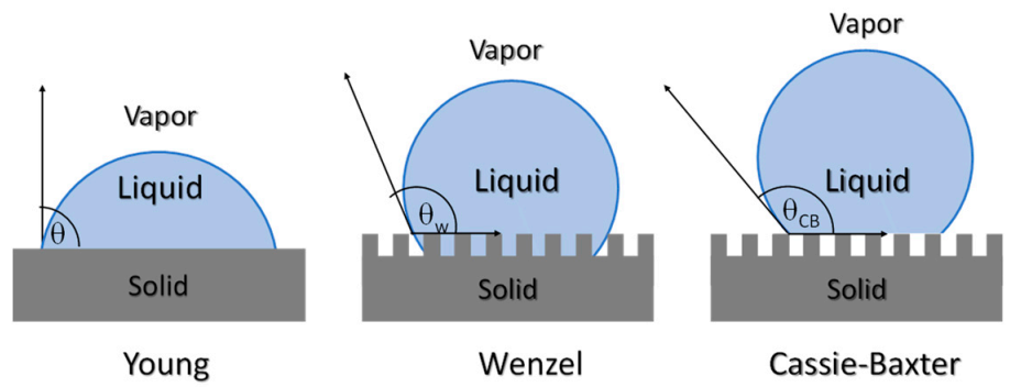 Polymers 13 00613 g017