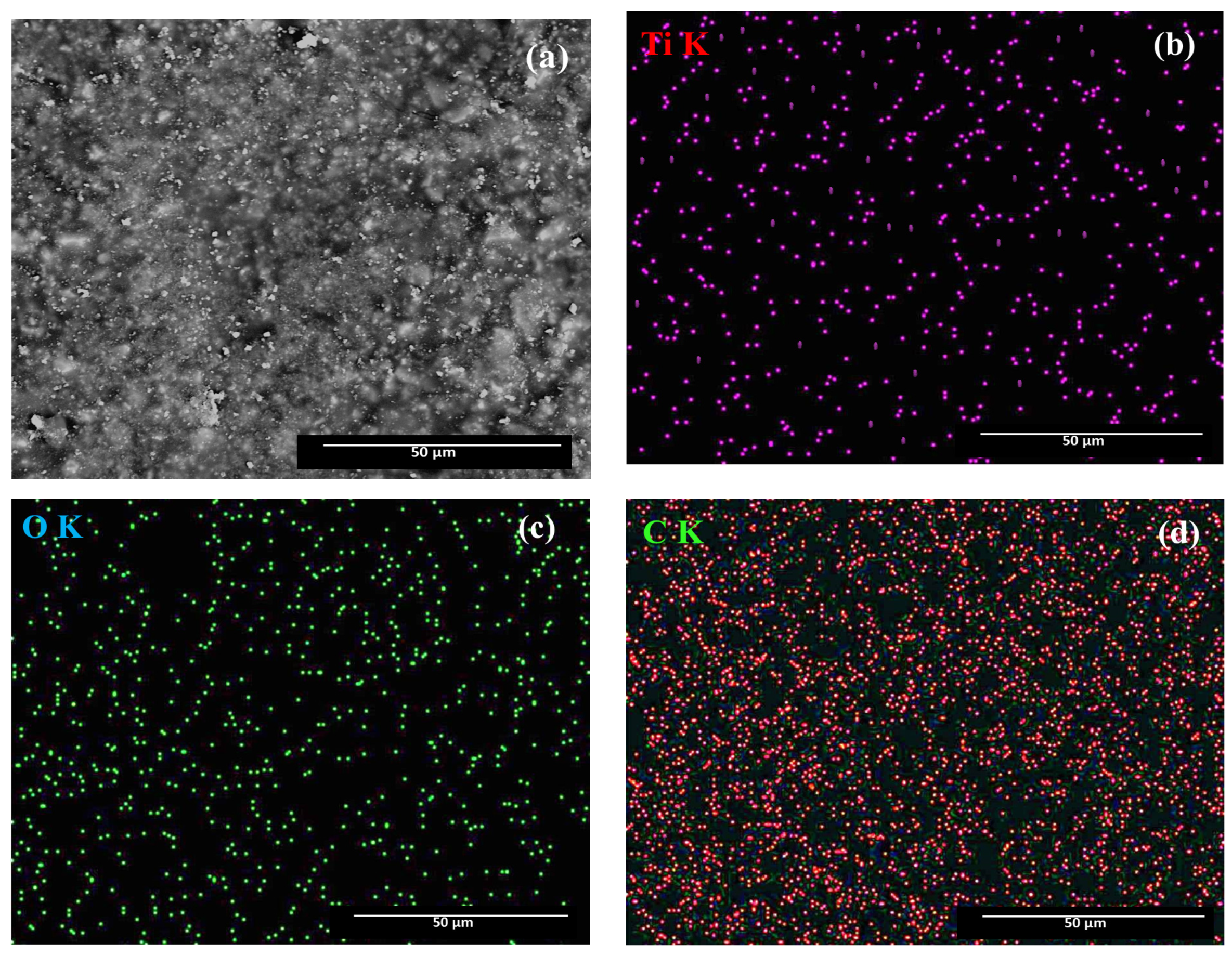 Polymers 13 00614 g003
