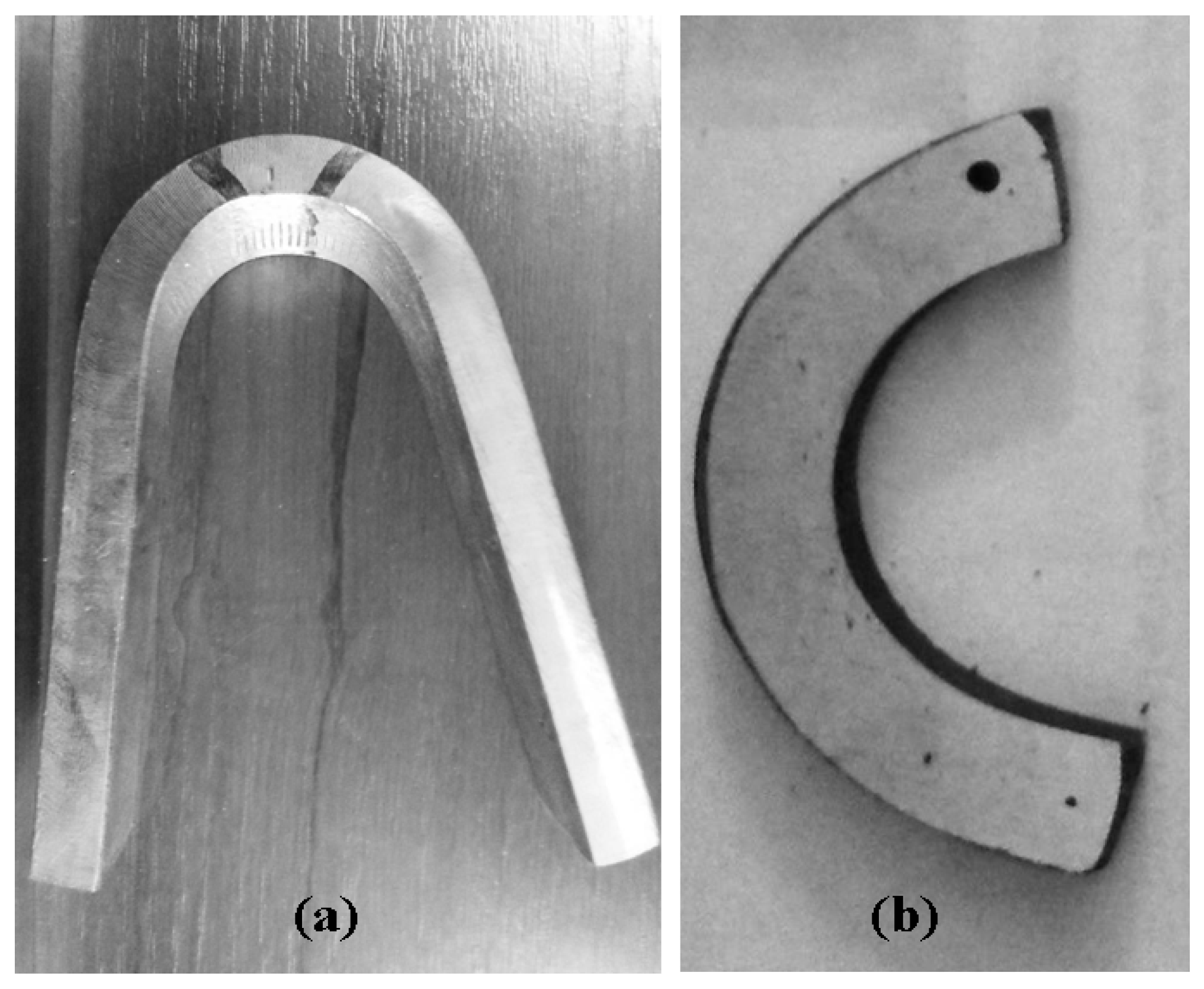 Polymers 13 00614 g005
