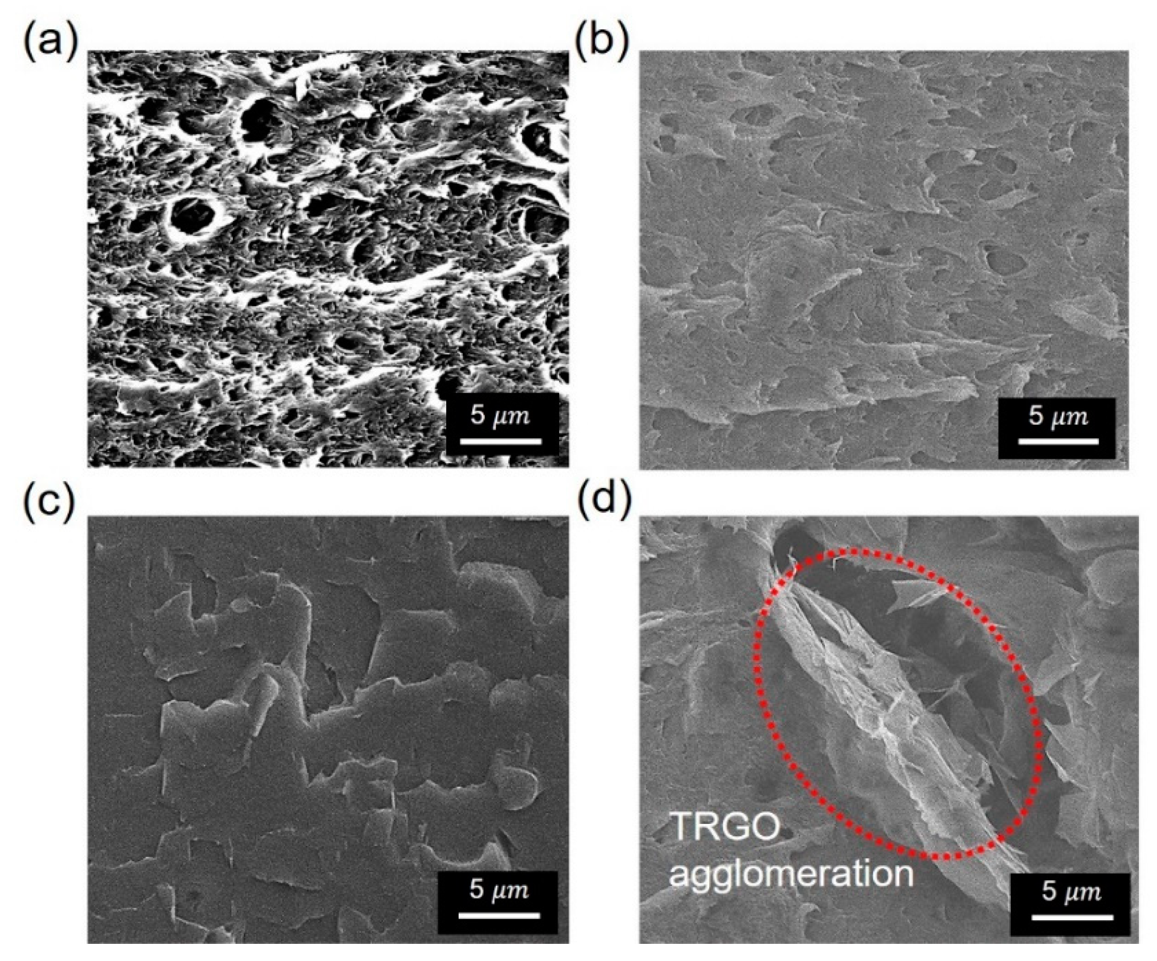 Polymers 13 00615 g007
