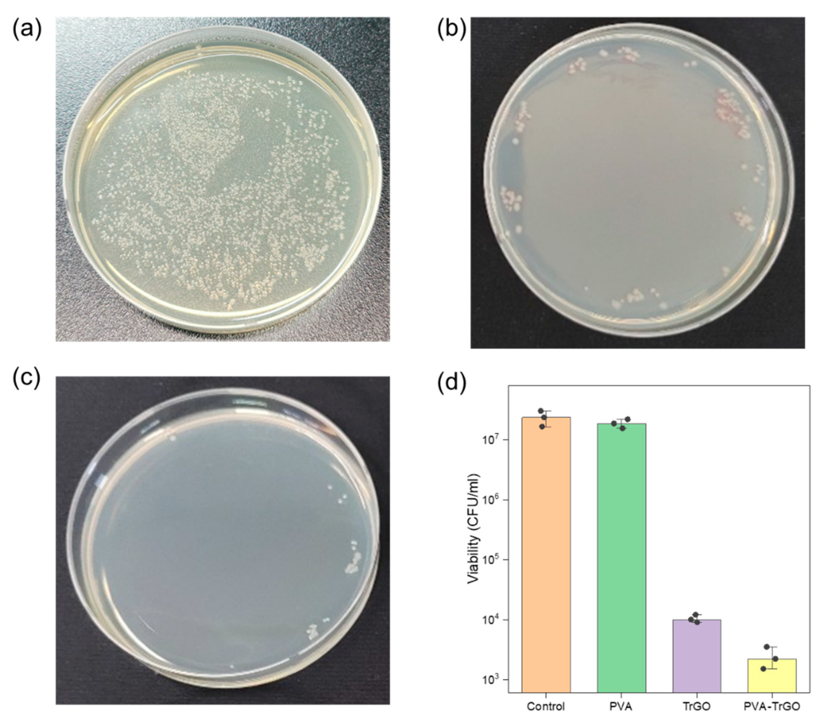 Polymers 13 00615 g012