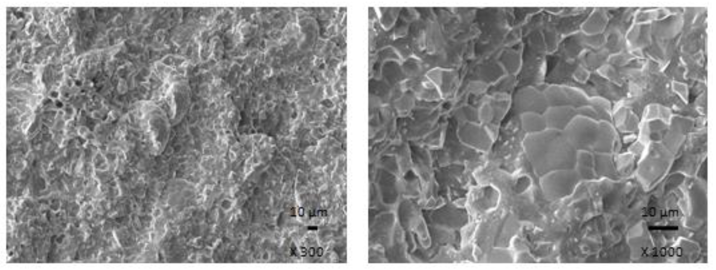 Polymers 13 00616 g012