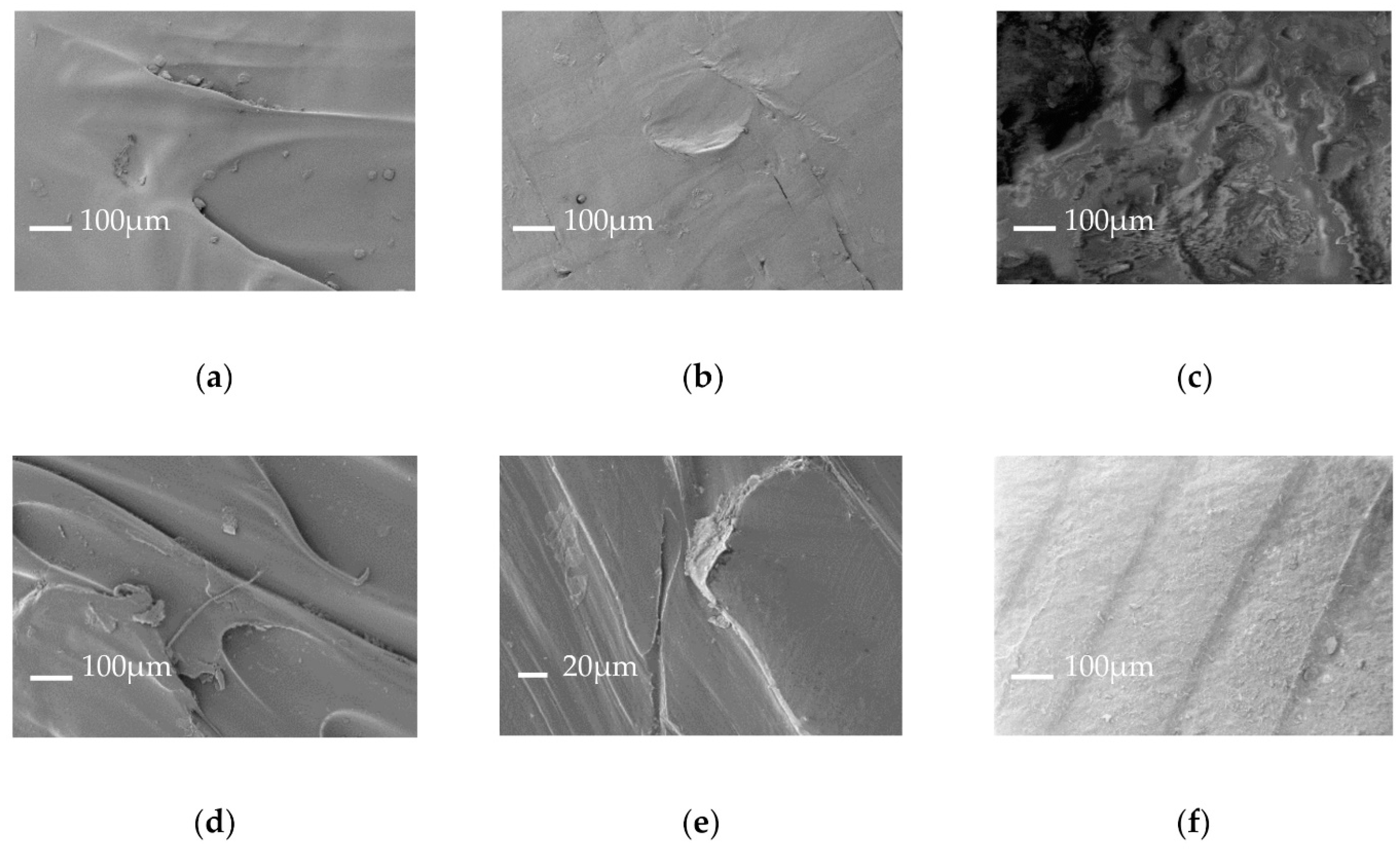 Polymers 13 00617 g003