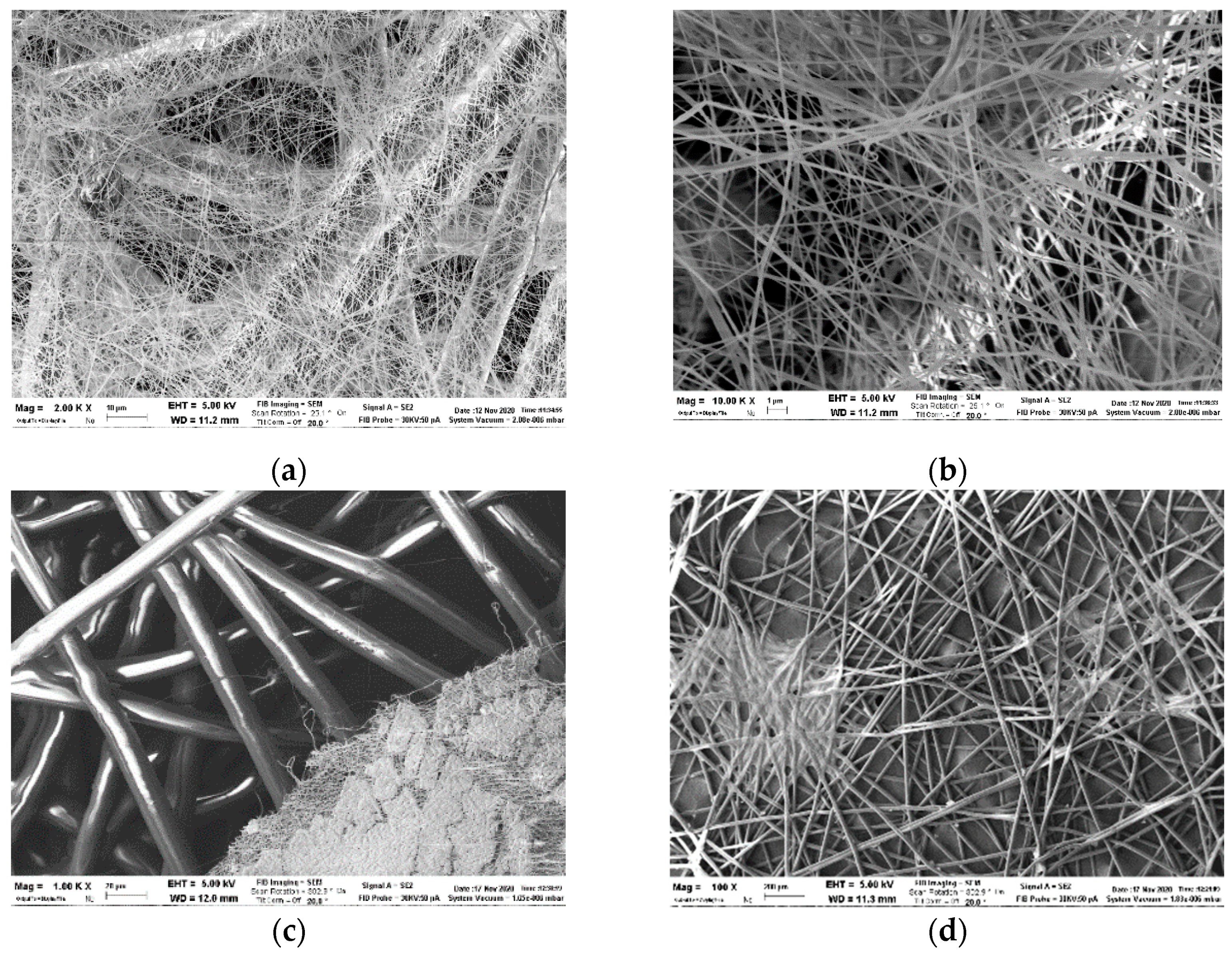 Polymers 13 00617 g005