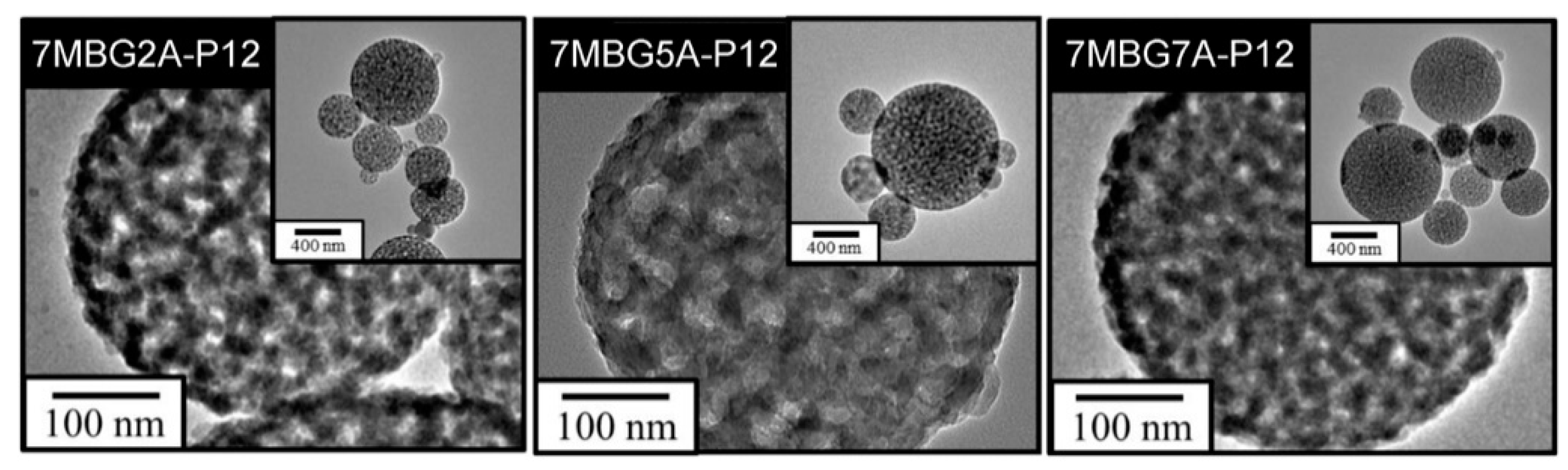 Polymers 13 00618 g006