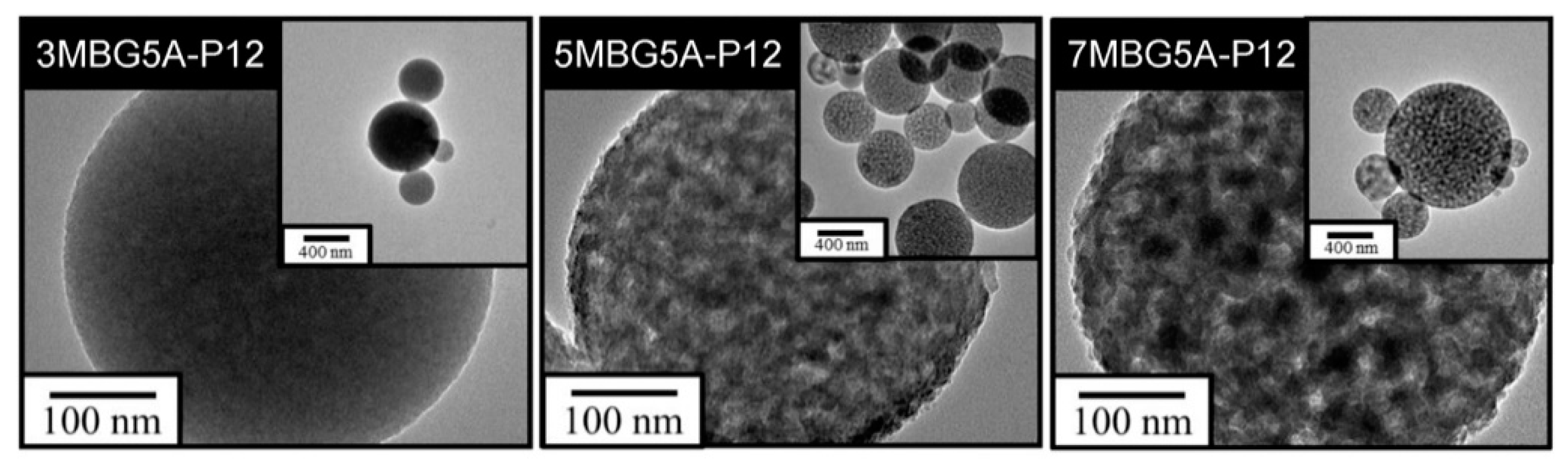 Polymers 13 00618 g009