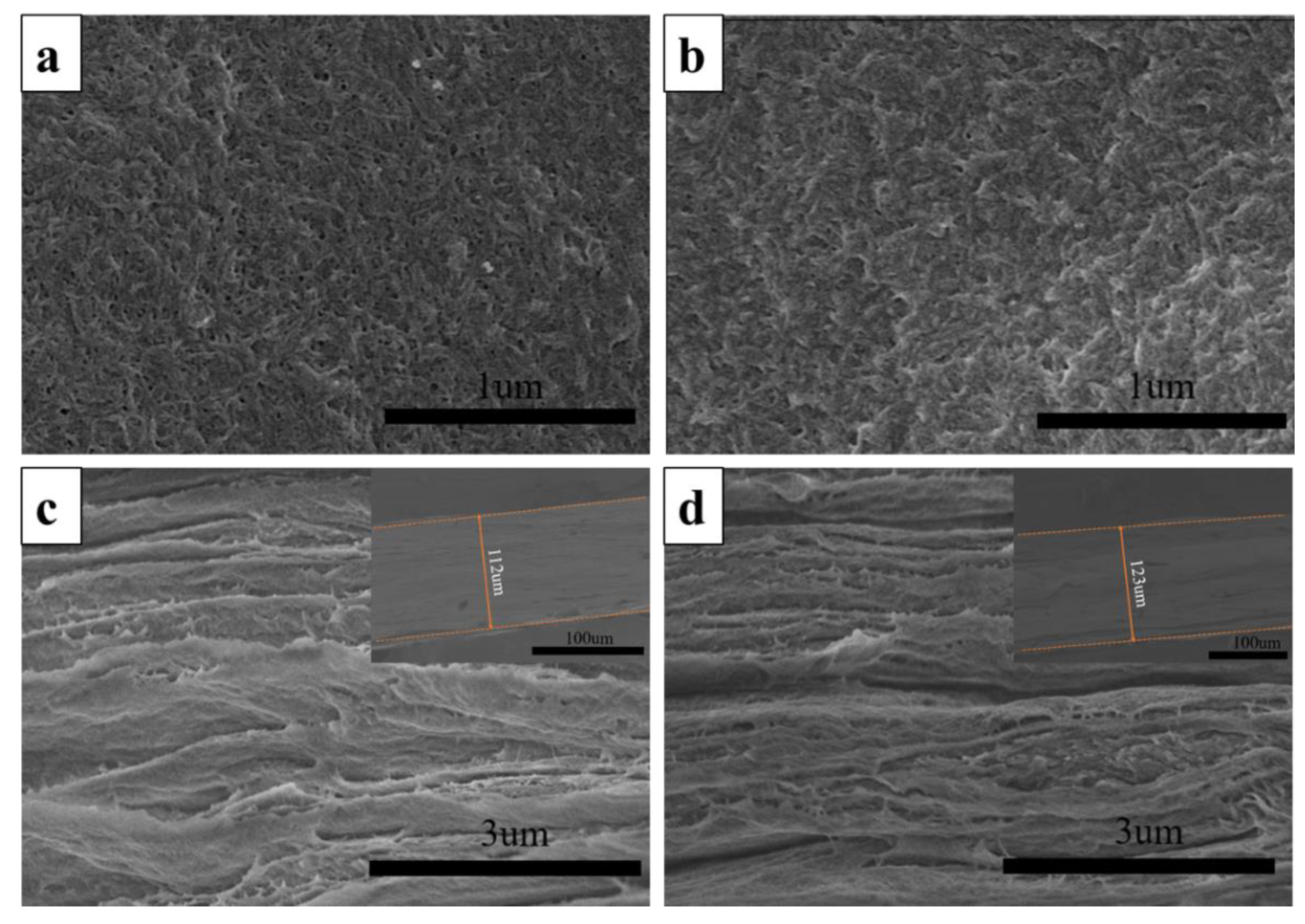 Polymers 13 00621 g004