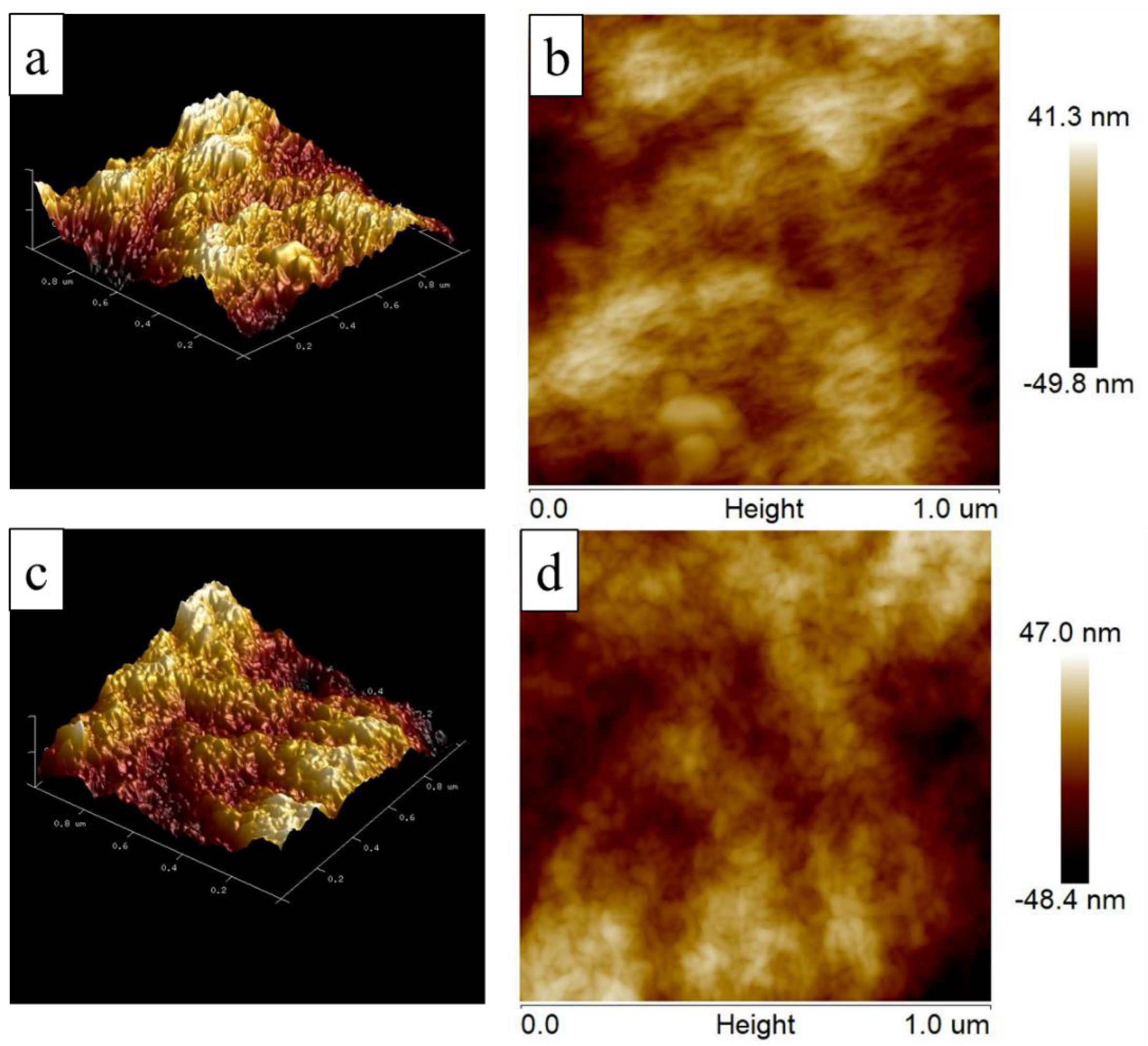 Polymers 13 00621 g005